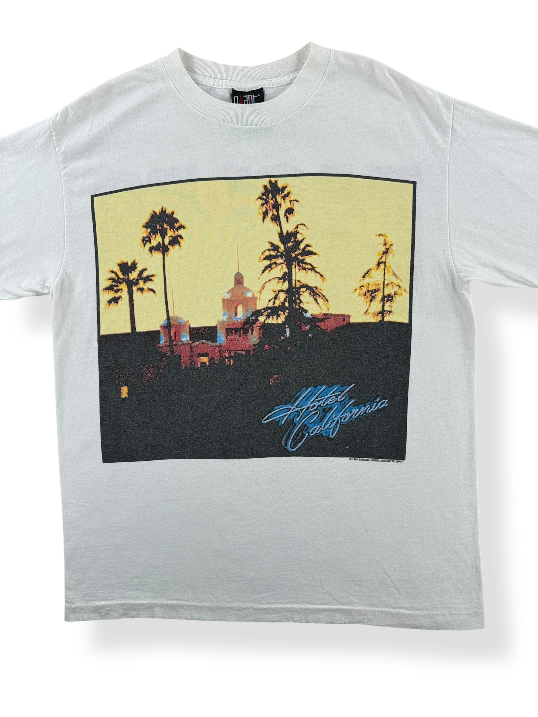 Front Close Up of Vintage Eagles Hell Freezes Over 1994 World Tour Tee SZ L