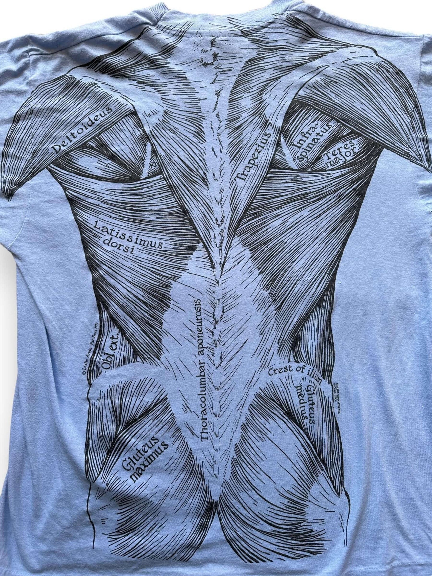 back close up of Vintage Anatomical AOP Tee SZ M