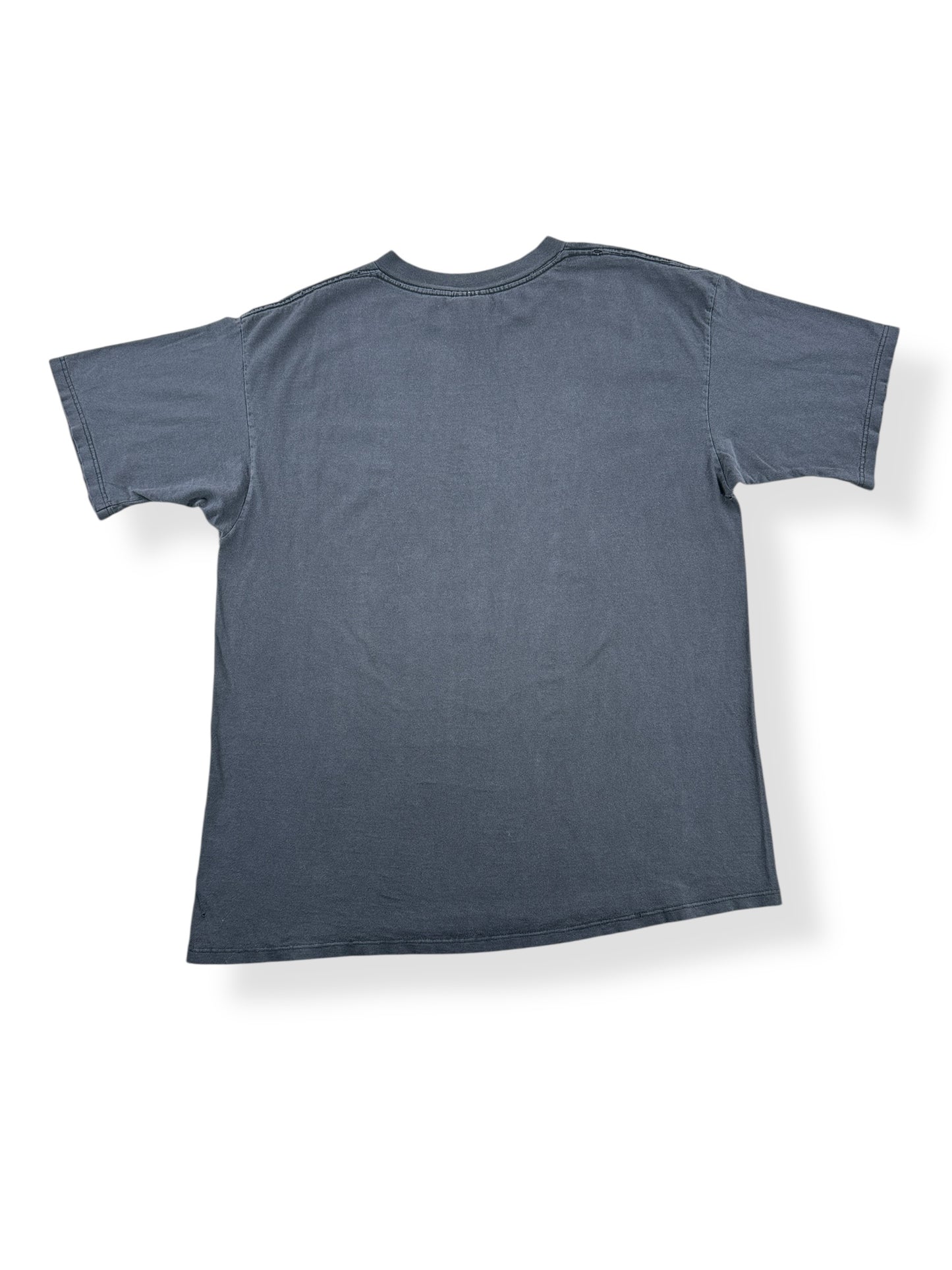 Back of Vintage Faded Bear Nature Tee SZ XL