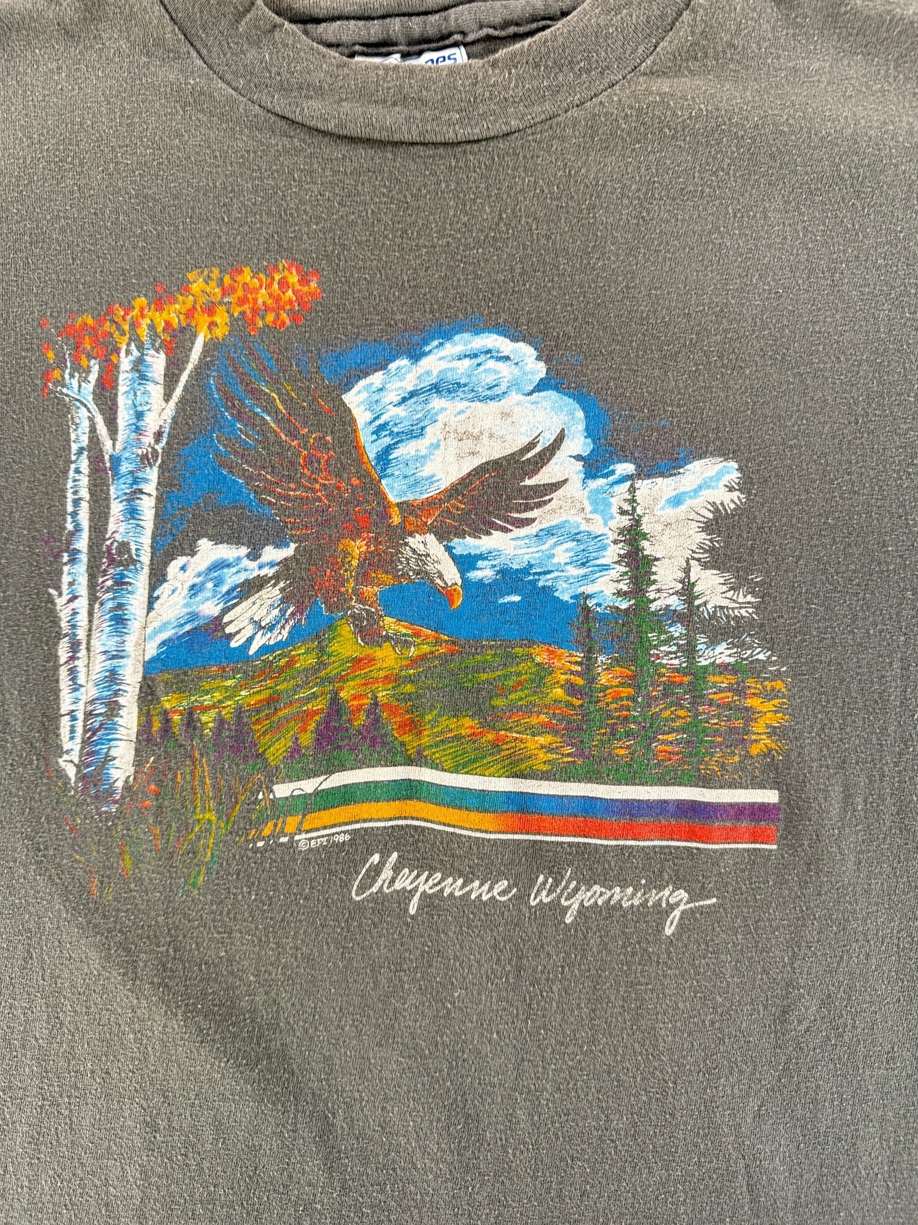 Front Graphic of Vintage Faded Cheyenne Wyoming Tee SZ M