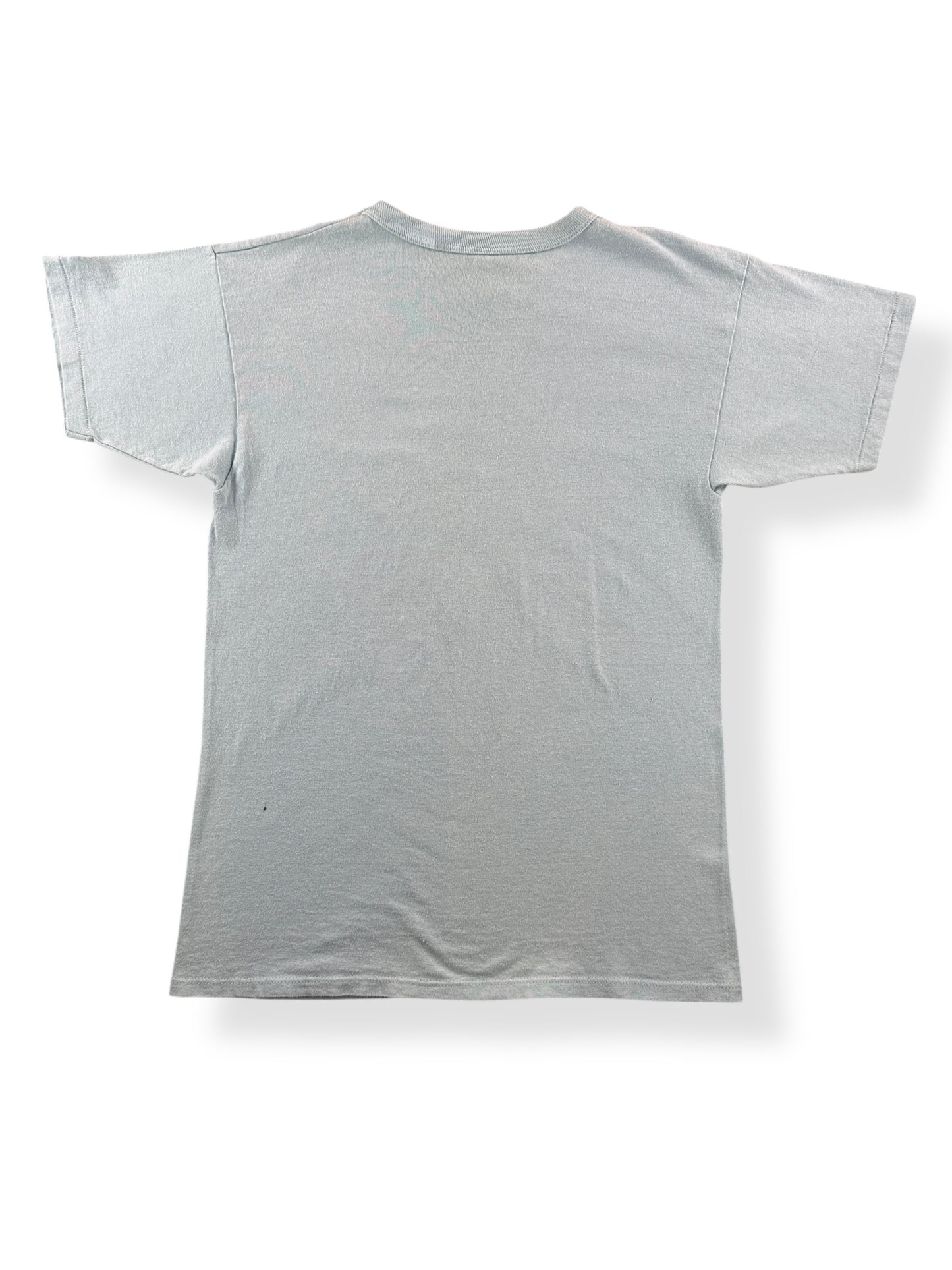 Back of Vintage Robin's Egg Blue Champion Tee SZ L (Fits M)