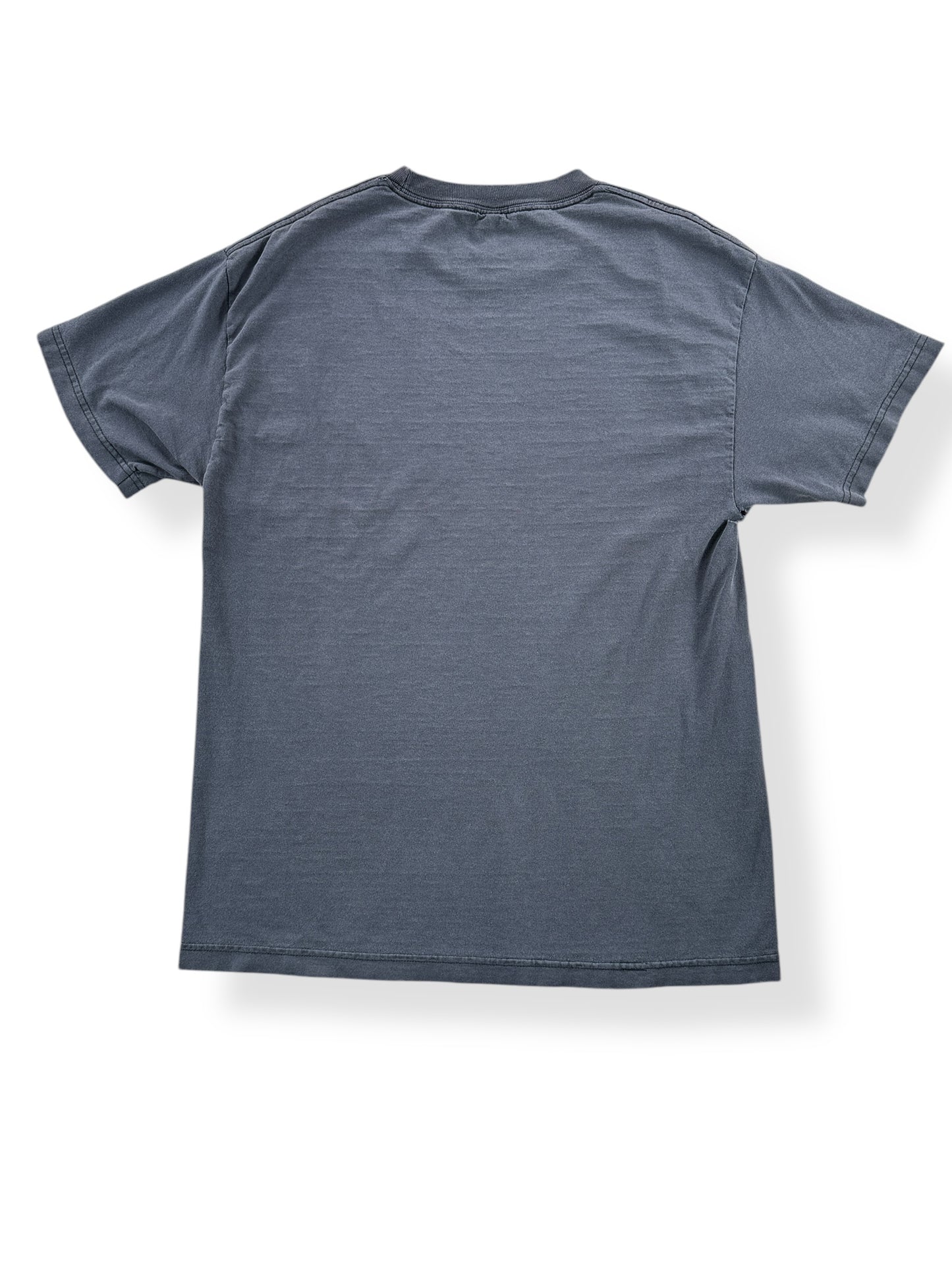 Back of Vintage Sparta ATDI Faded Band Tee SZ M