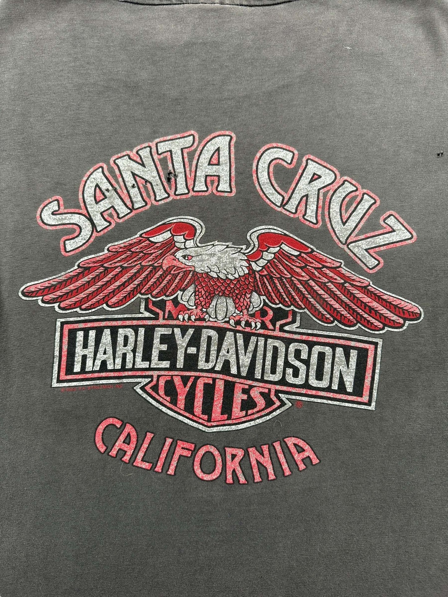 Back Graphic of Vintage Santa Cruz Harley Davidson Panhead Tee SZ L