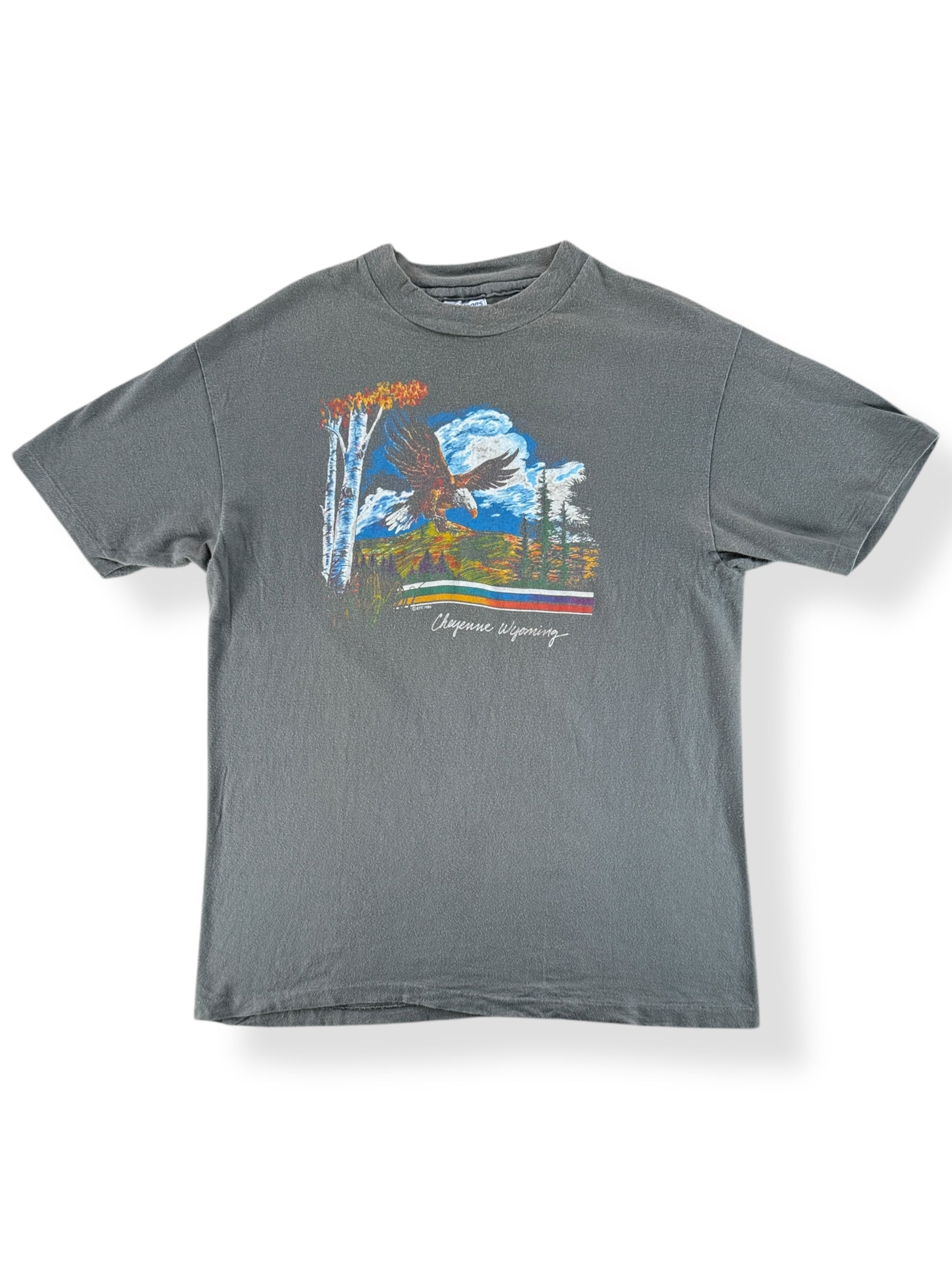Front of Vintage Faded Cheyenne Wyoming Tee SZ M