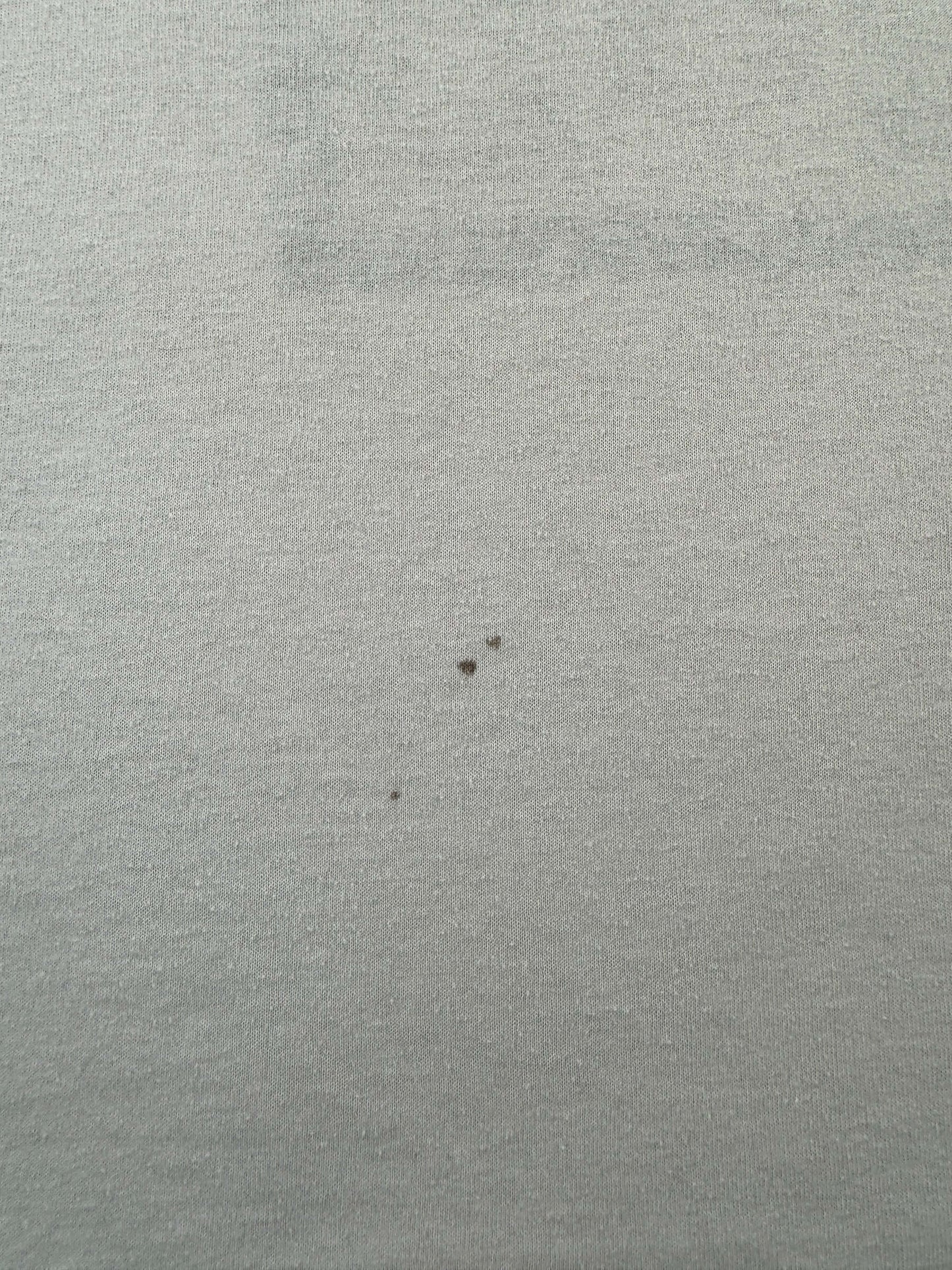 Stains on Vintage Seattle via Phoenix Best Kissers in the World Ringer Tee SZ XL