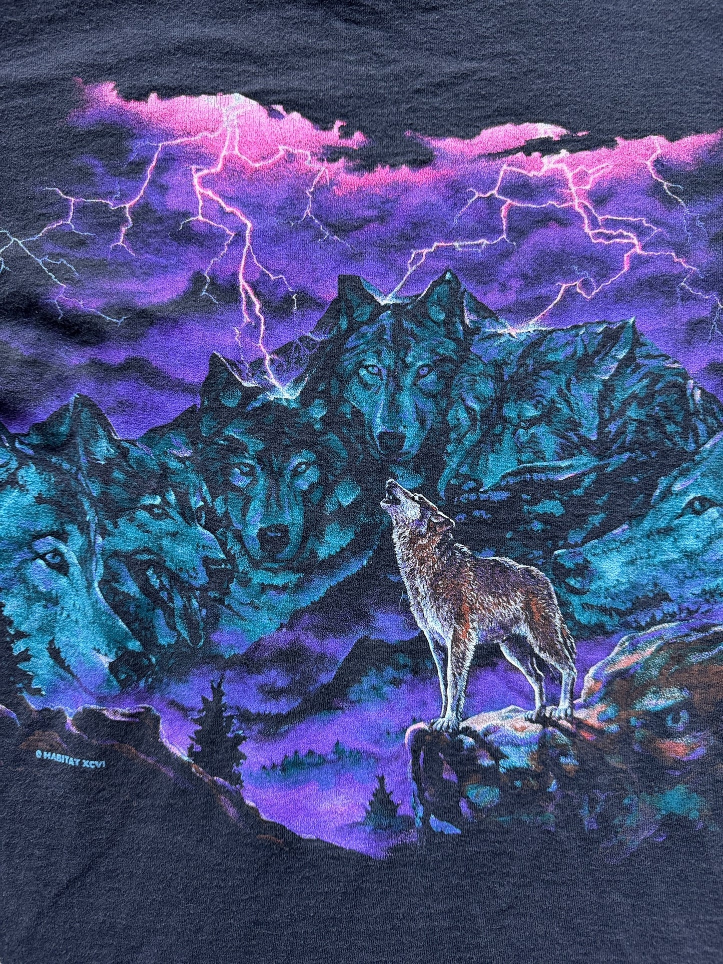 Front Graphic of Vintage Habitat Wolf Mountain Tee SZ M