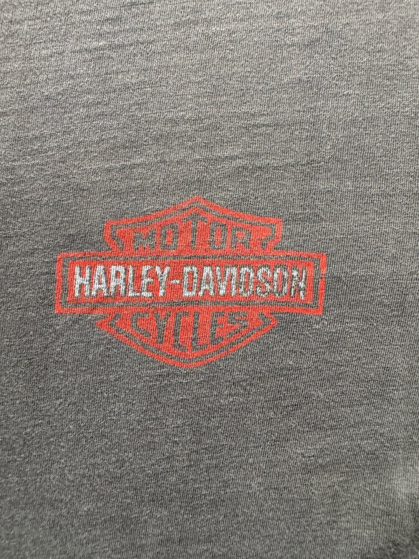 front graphic of Vintage Faded Hollisters MC Shop of South Germany Harley Tee SZ L