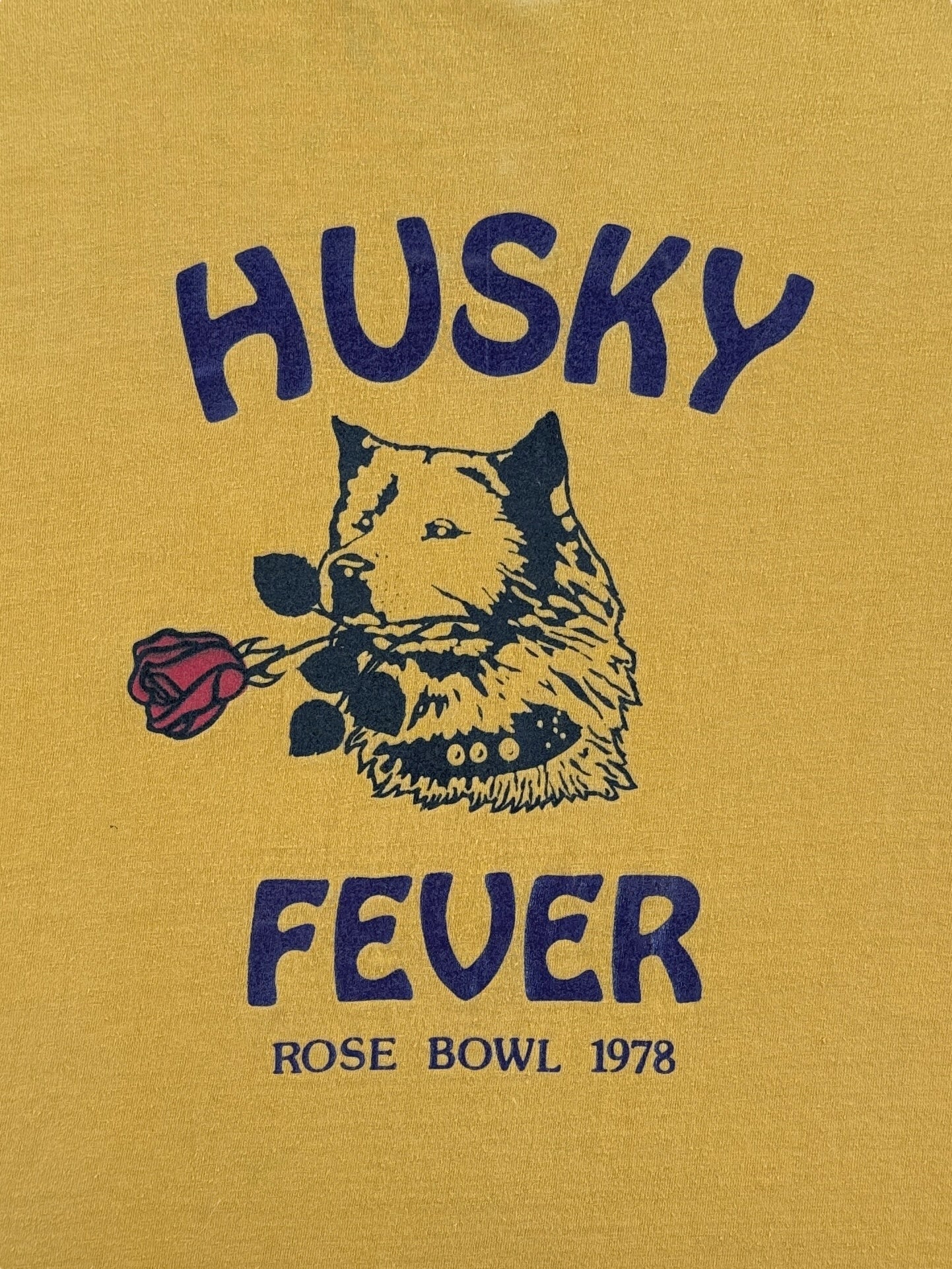 Front Graphic of Vintage 78 UW Huskies Rose Bowl Tee SZ S