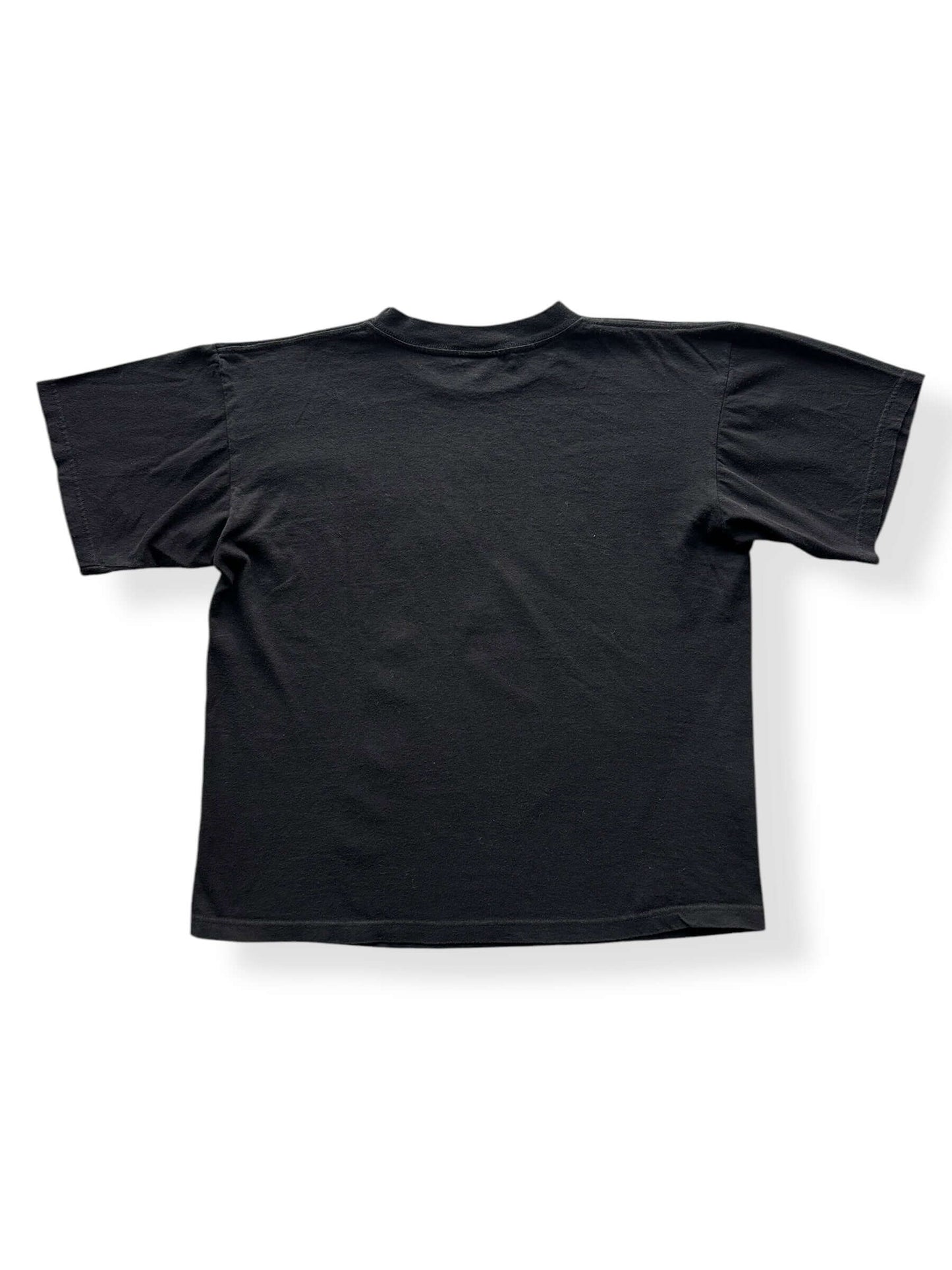 Back of Vintage Shania Twain Polygram Tee SZ L