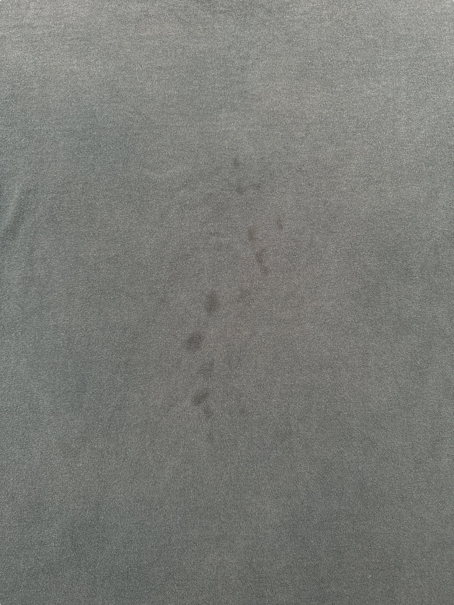 Stains on Vintage Late 90s Faded Harley Eagle Tee SZ M