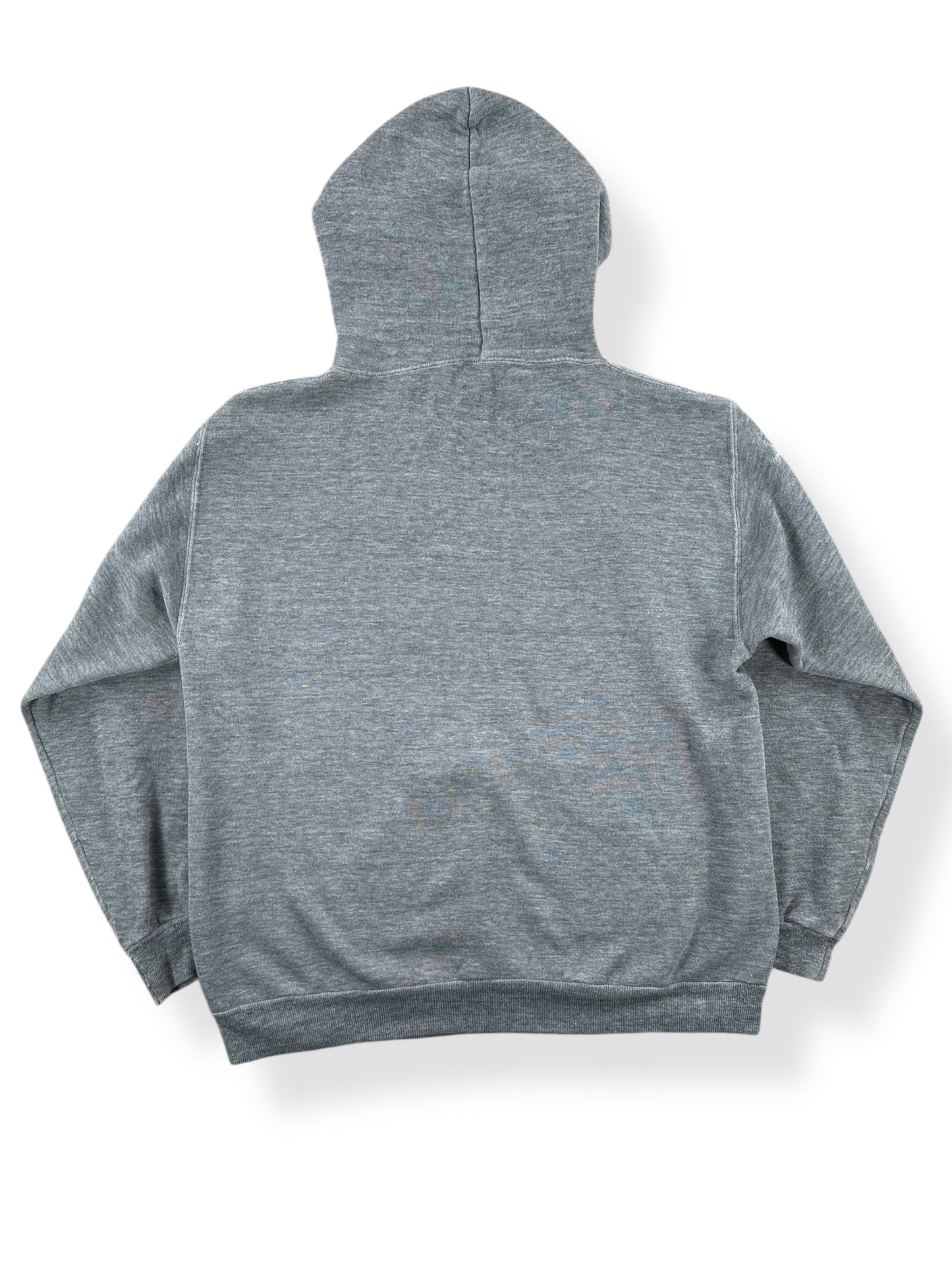 Back of Vintage Hanford Falcons Russell Hoodie SZ M