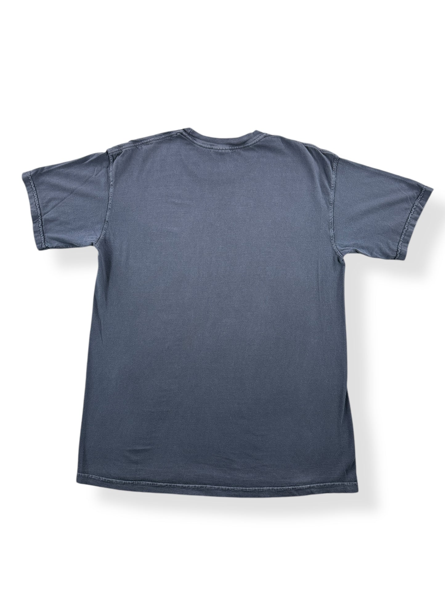 Back of Modern Filson Western Towboat Tee SZ M