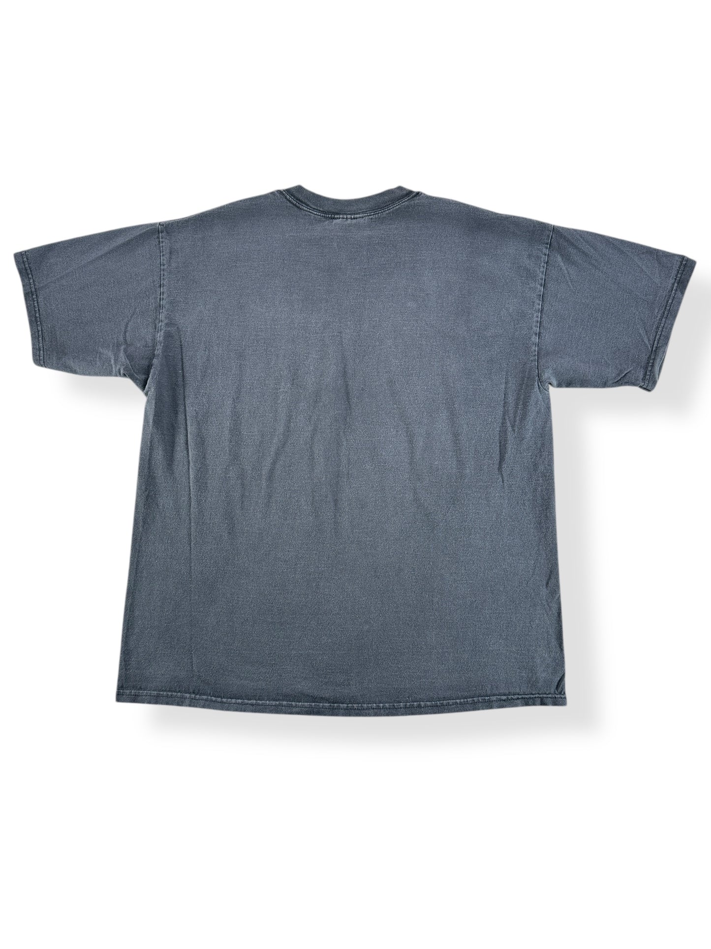 Back of Vintage Lions Drag Strip Tee SZ XL