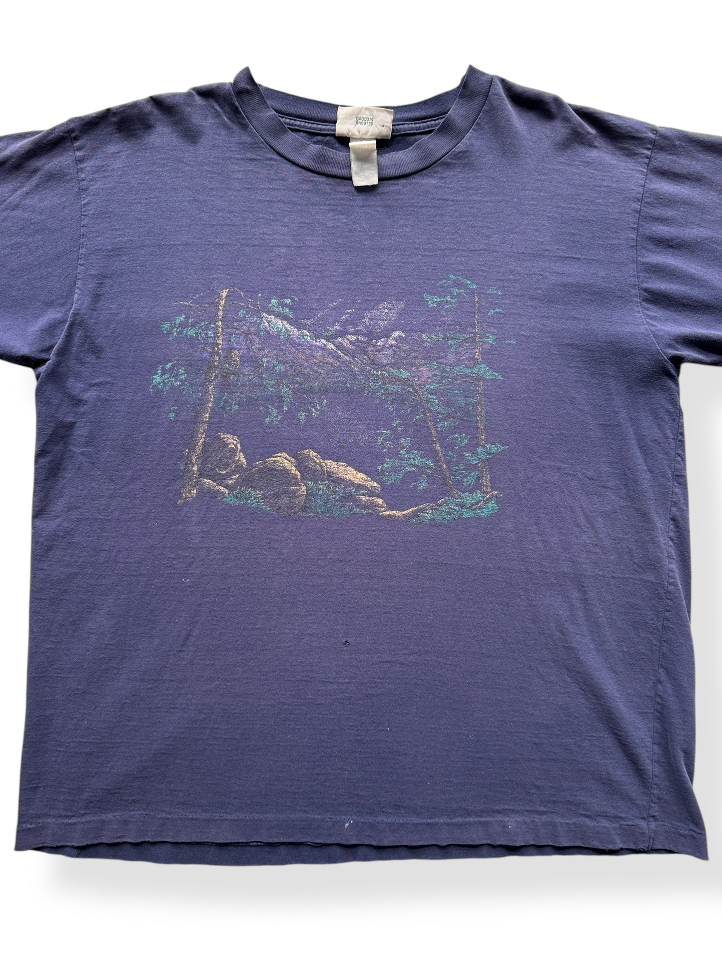 Front Close Up of Vintage Nature Scene Fader Tee SZ XL