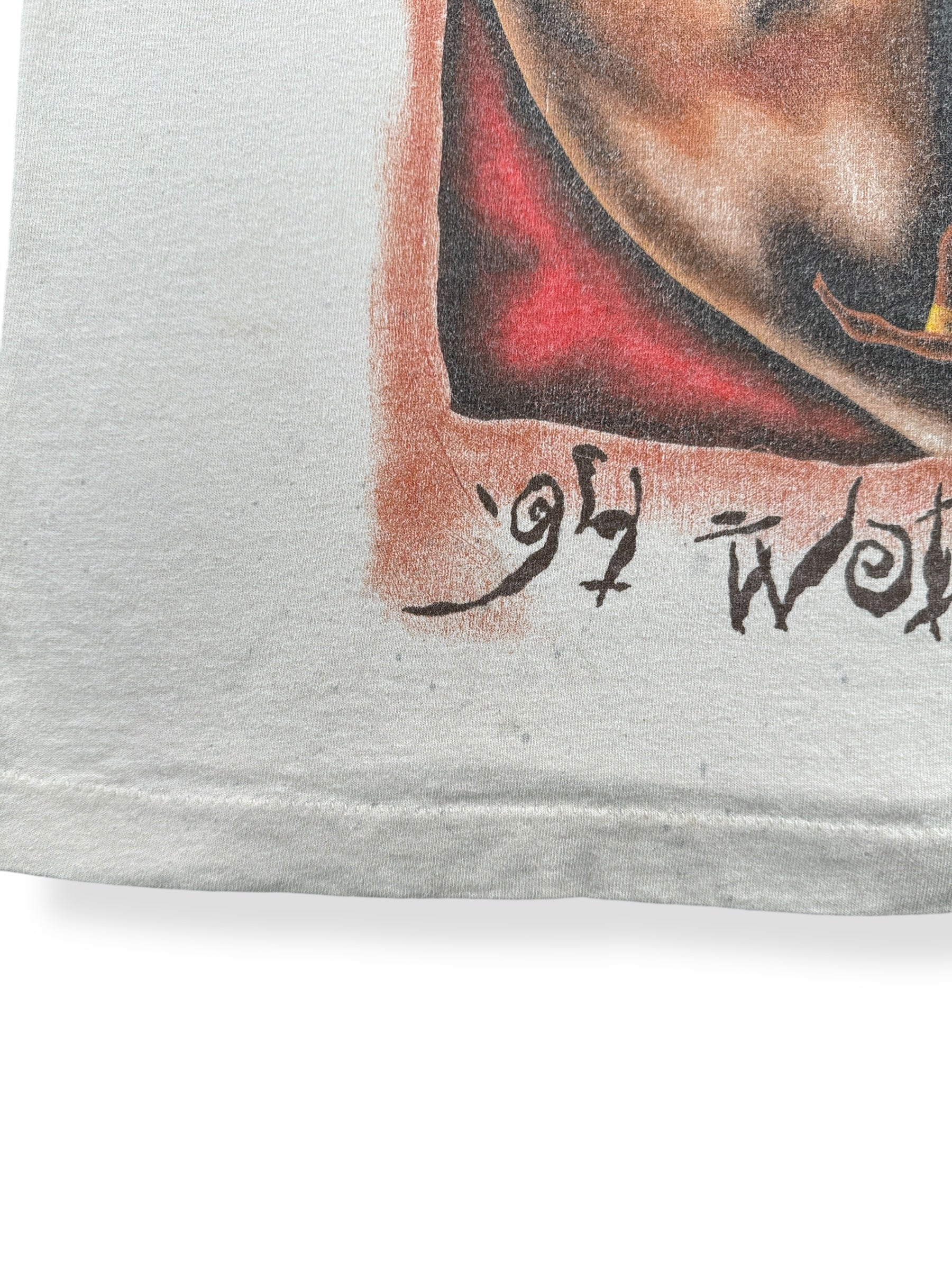 Stains on Vintage Eagles 1994 World Tour Tee SZ XL