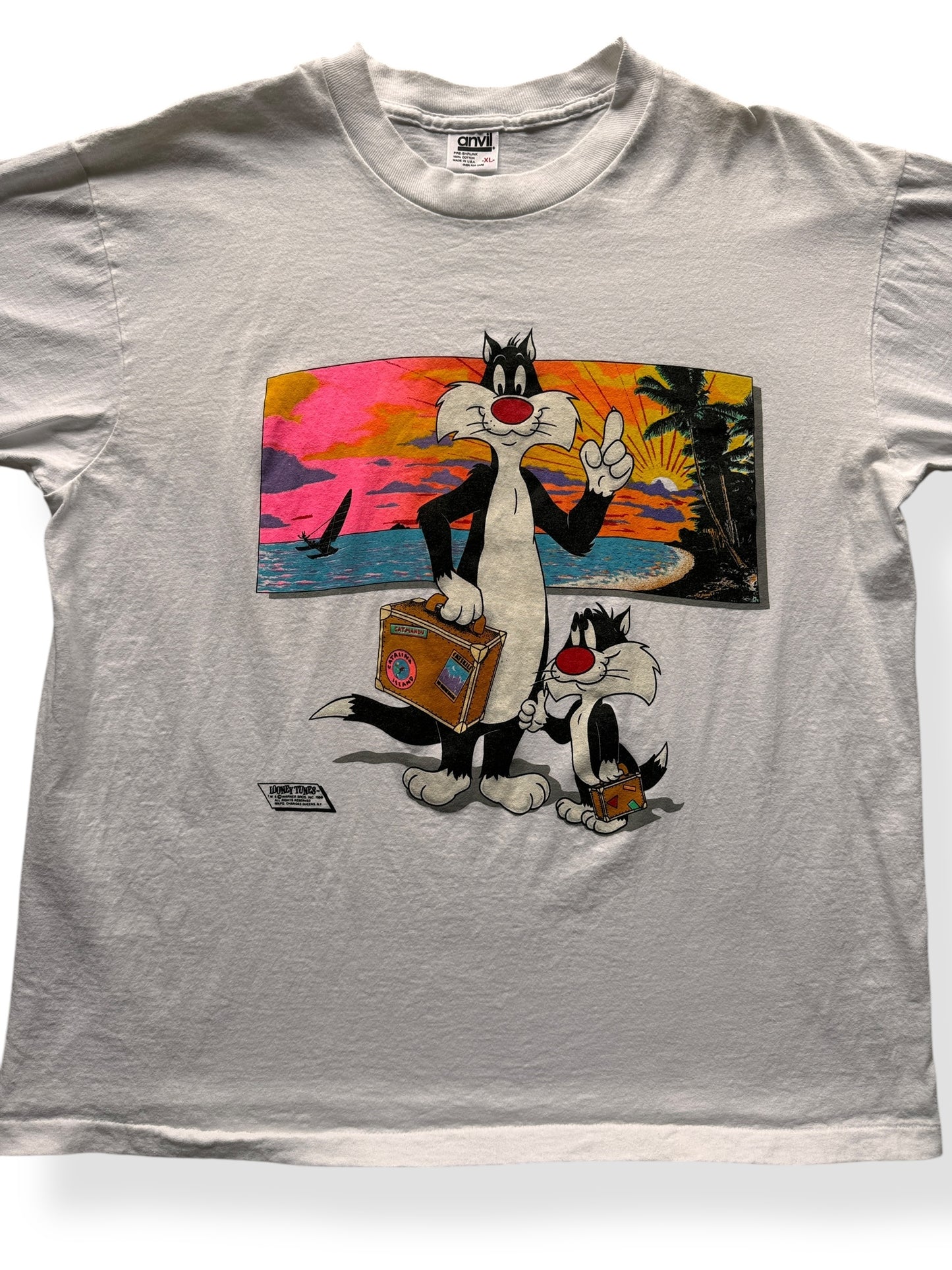 Front Close Up of Vintage Looney Tunes Sylvester & Sylvester Jr Tee SZ XL