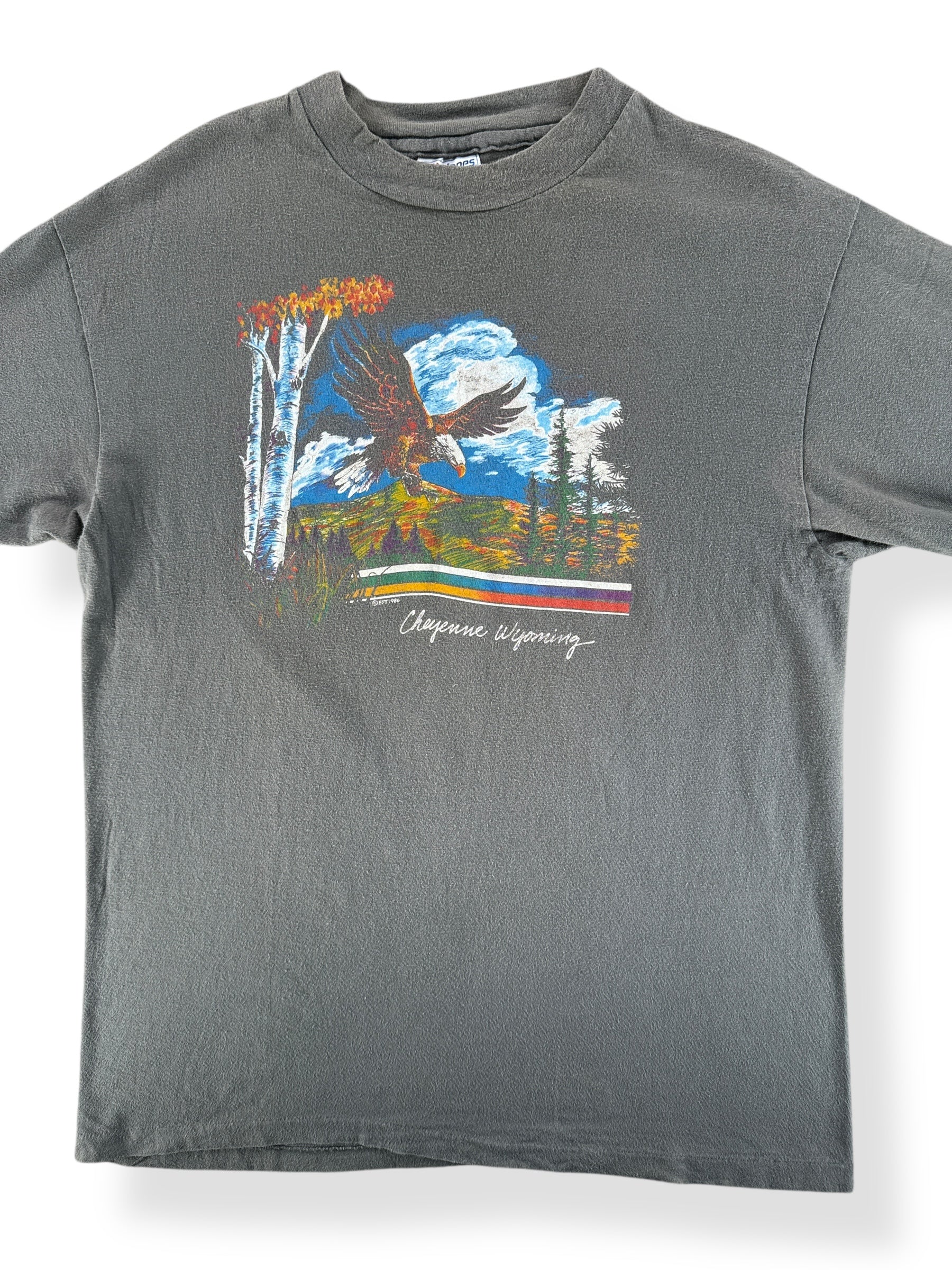 Front Close Up of Vintage Faded Cheyenne Wyoming Tee SZ M