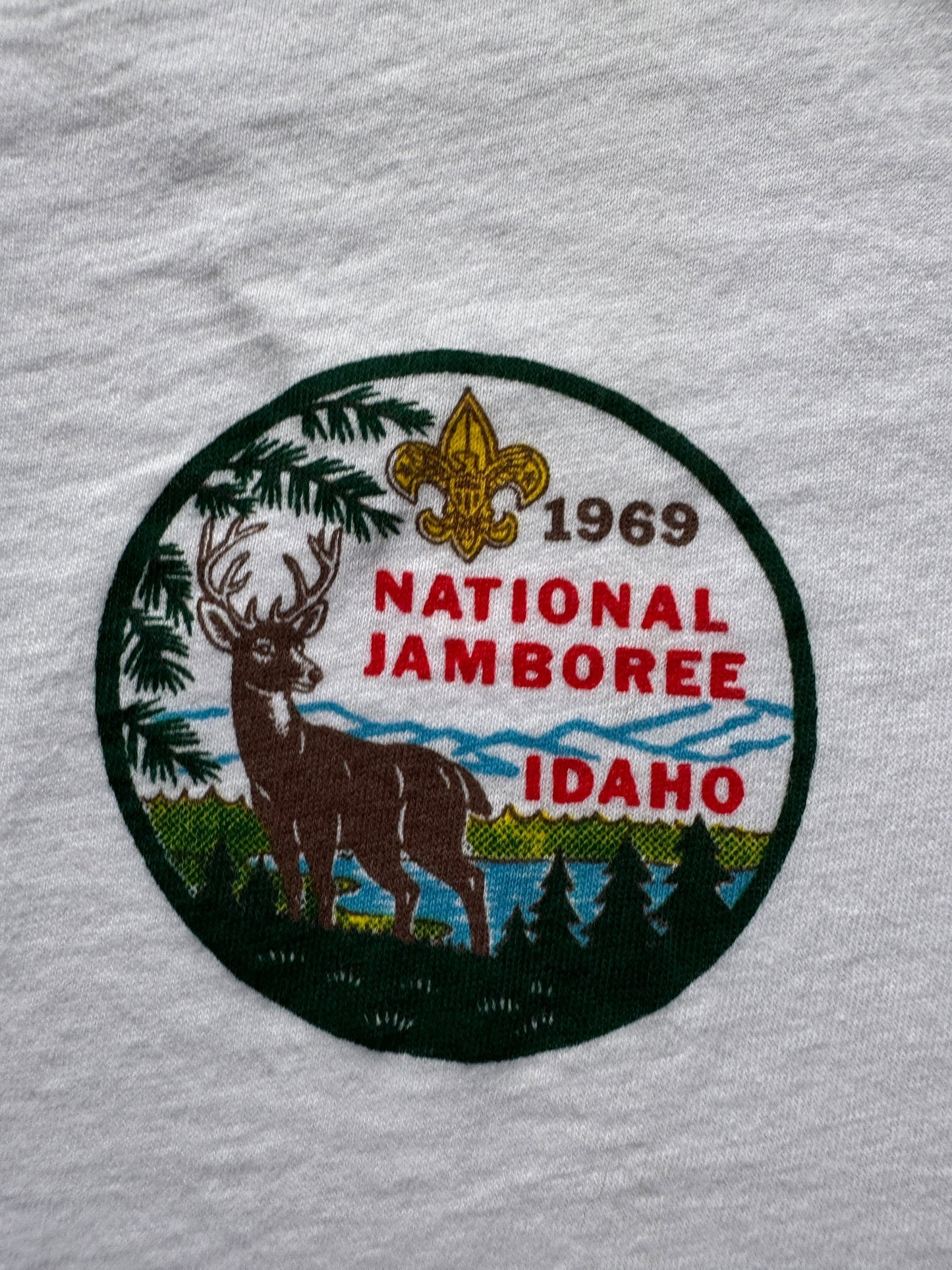 front graphic of Vintage 1969 Idaho BSA Ringer Tee SZ L