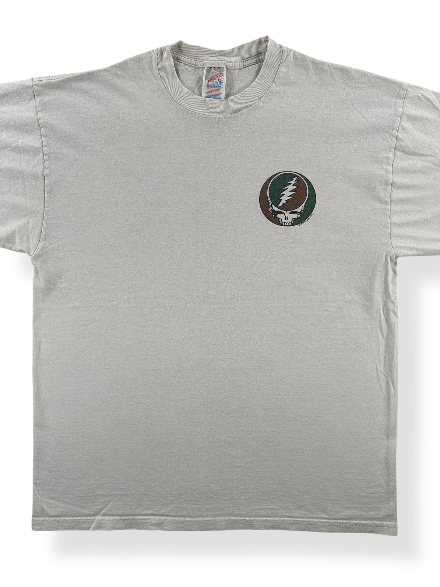 Front Close Up of Vintage 1995 Grateful Dead Tee SZ XL