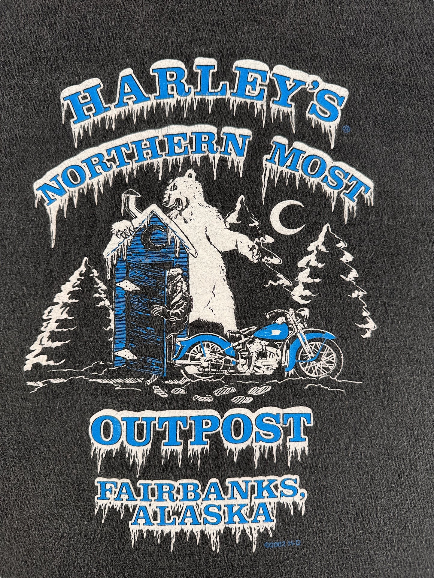 Back Close Up of Vintage Fairbanks Alaska Harley Tee SZ XL