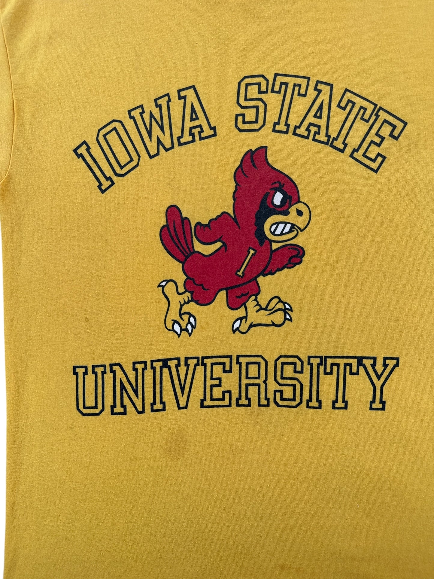 Graphic and Stains on Vintage Iowa State Hawkeyes Tee SZ S