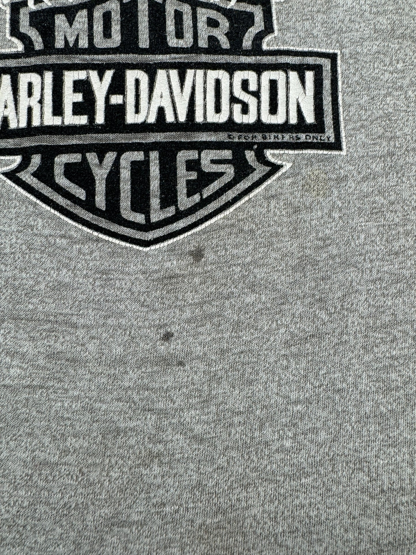 Stains on Vintage Harley Davidson Blaine MN Ringer Tee SZ S
