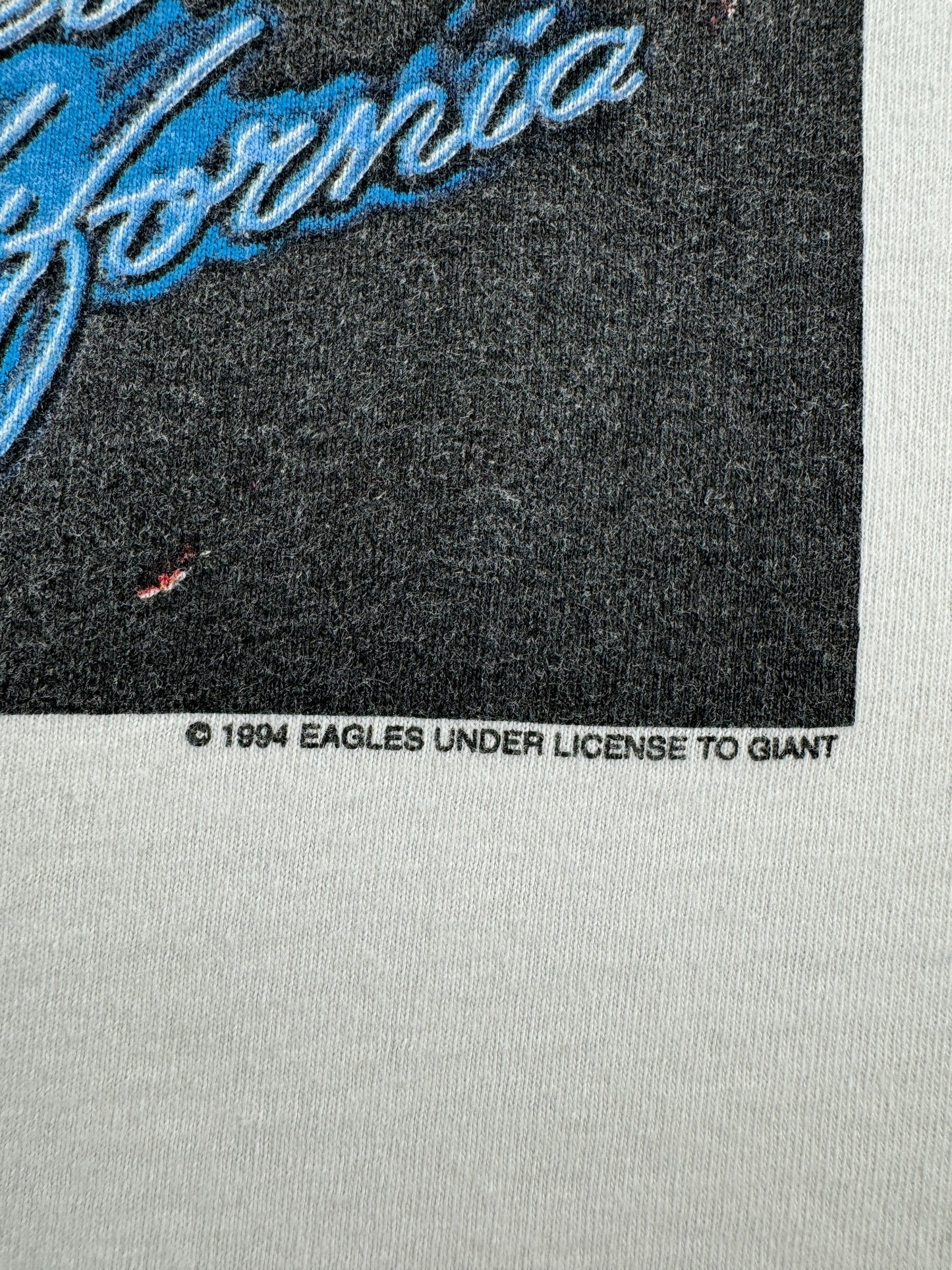 Trademark on Vintage Eagles Hell Freezes Over 1994 World Tour Tee SZ L