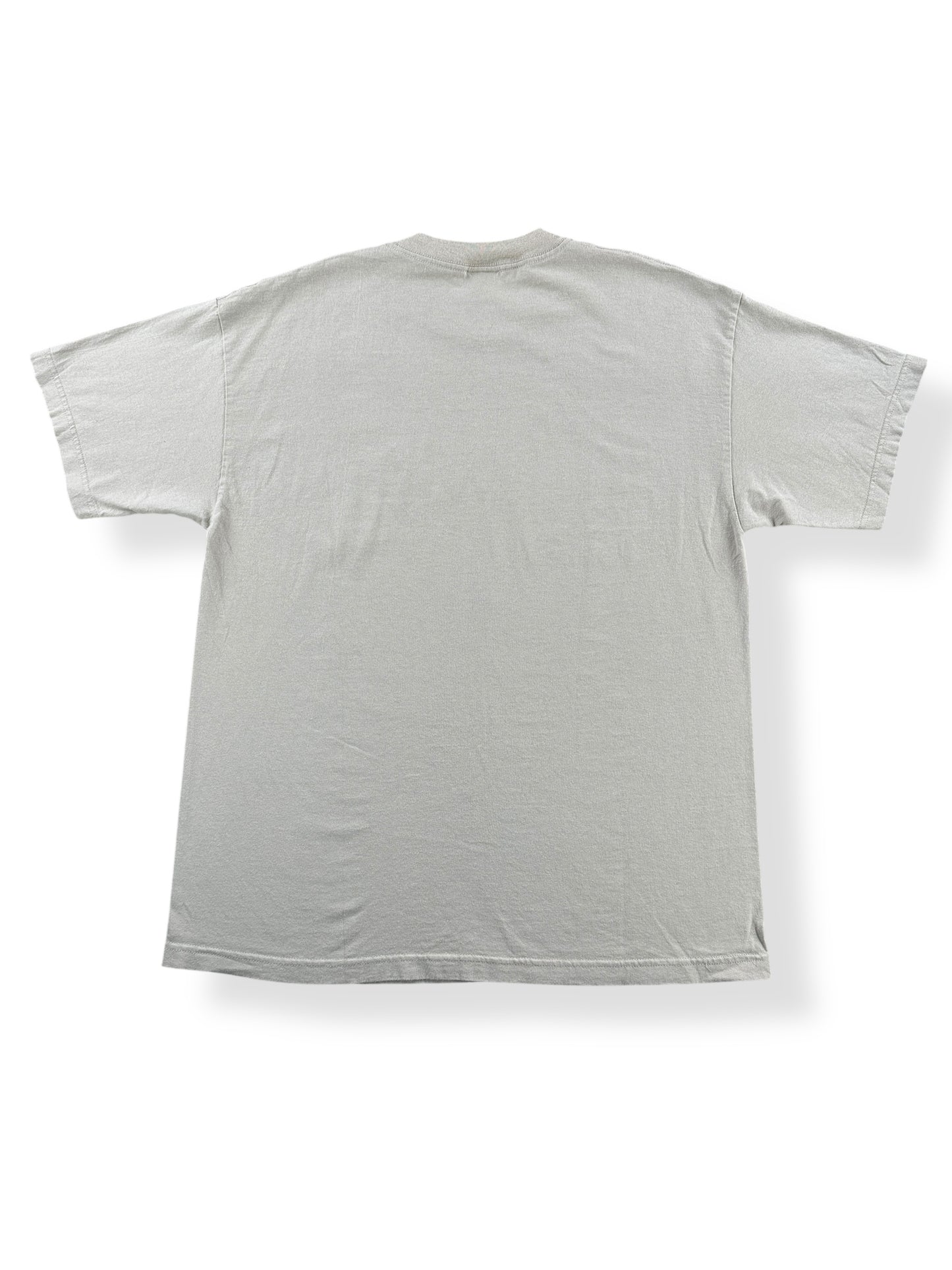 Back of Vintage Alaskan Landscape Tee SZ XL