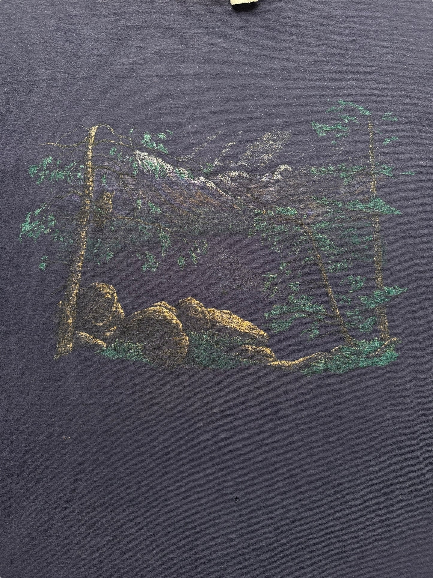 Front Graphic of Vintage Nature Scene Fader Tee SZ XL