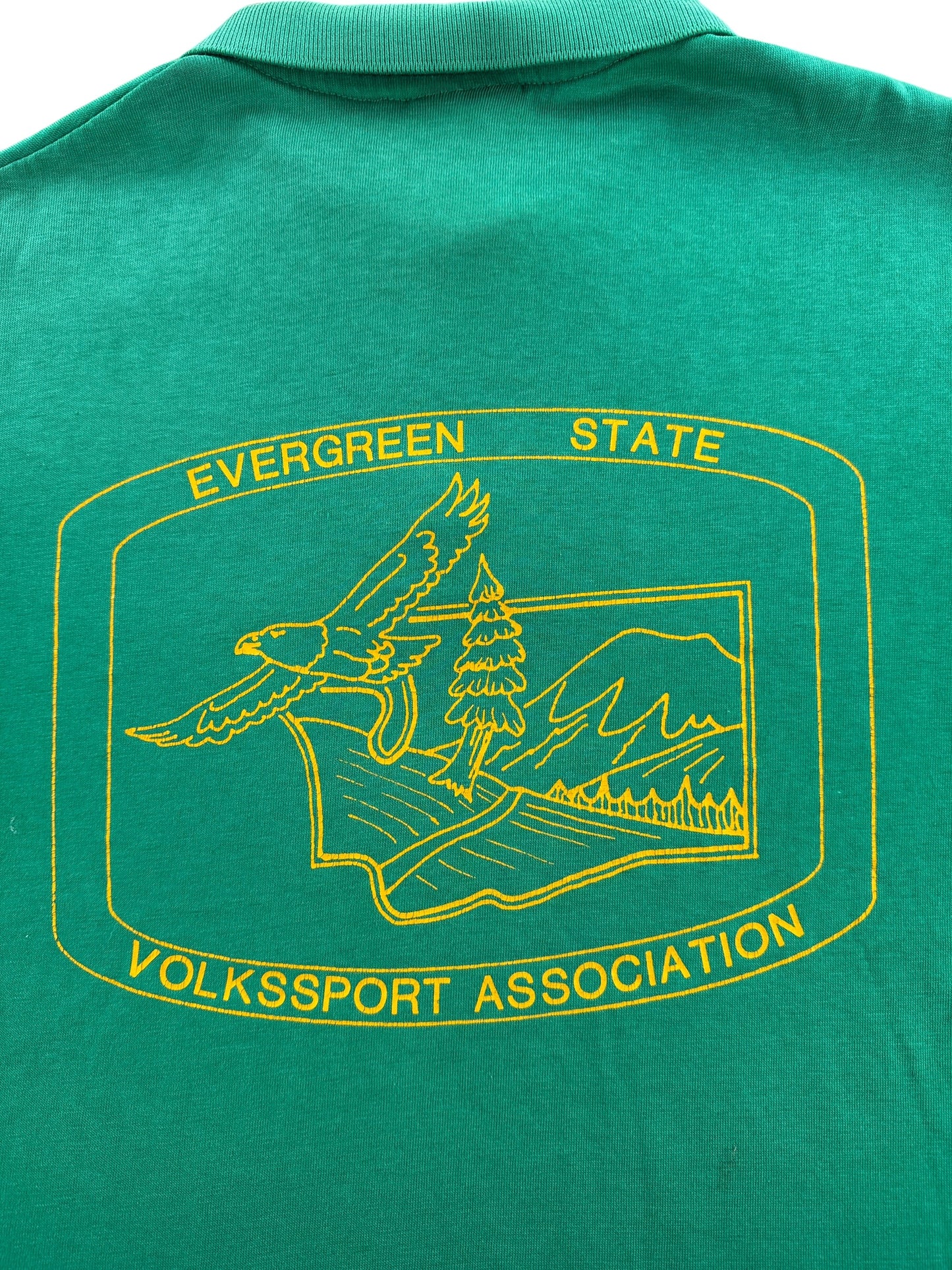 Back Graphic of Vintage Evergreen State Polo SZ M