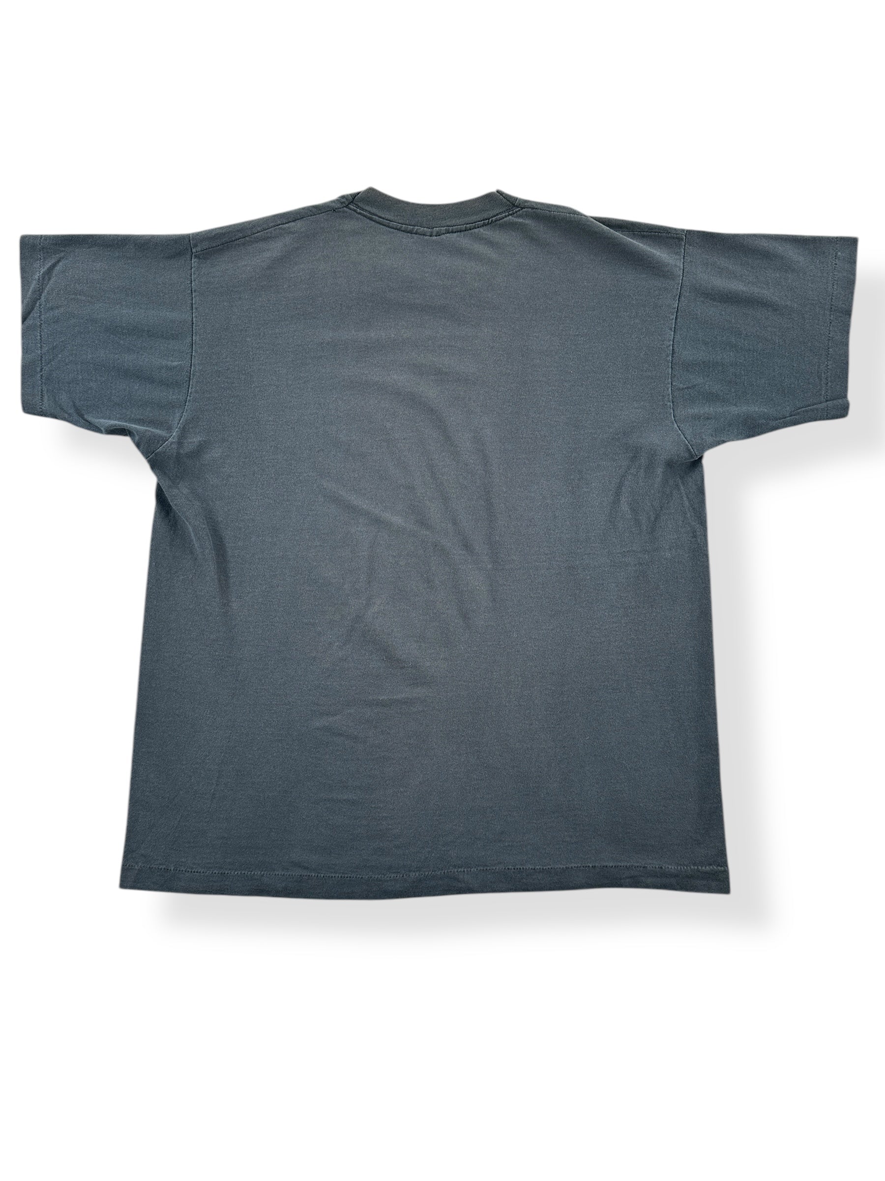 Back of Vintage Dinosaur Jr Little Fury Things Tee SZ XL