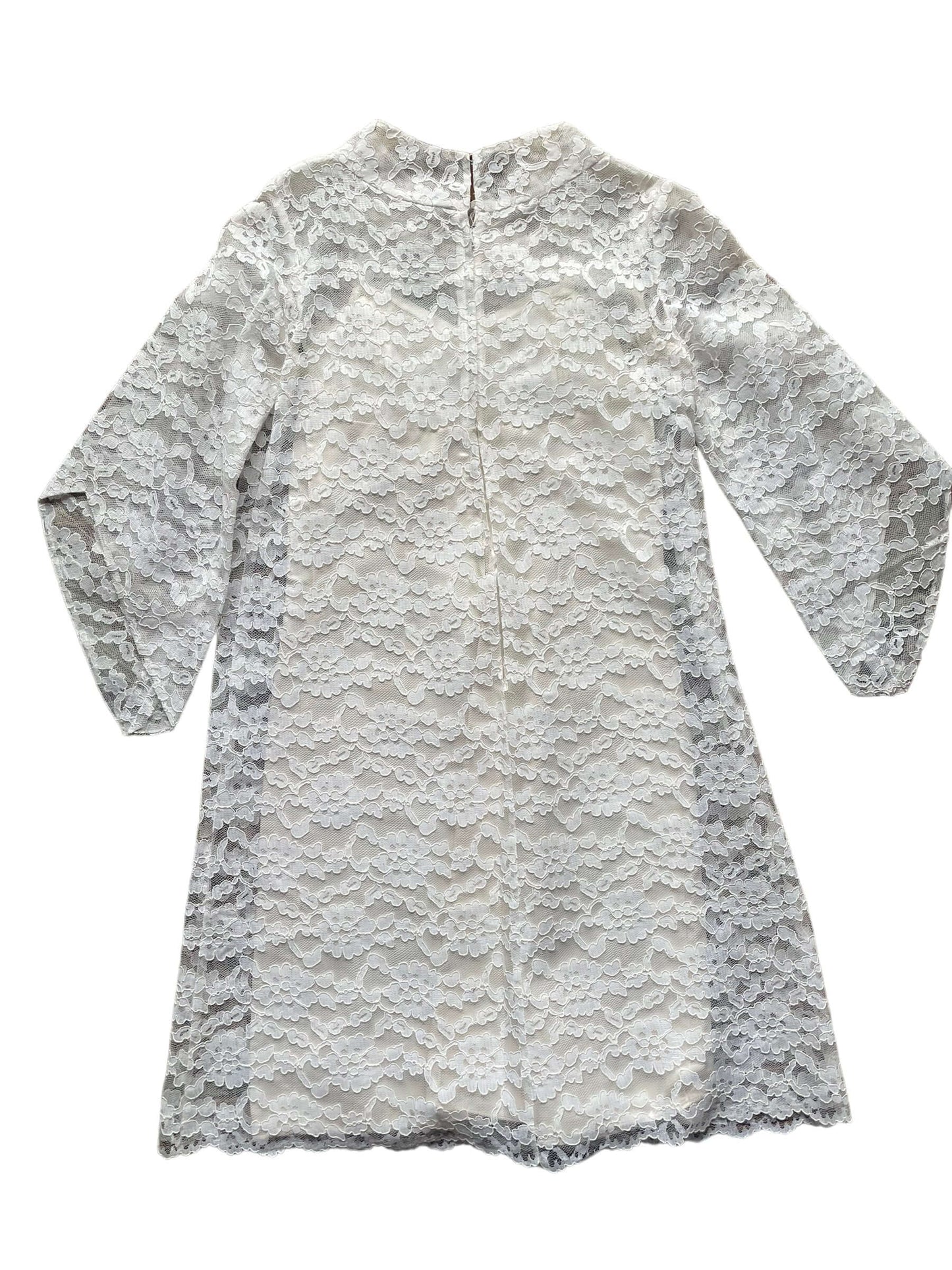 Full back view of Vintage 1960s Lace Mini Dress | Barn Owl Vintage Dresses | Seattle Vintage Ladies Clothing