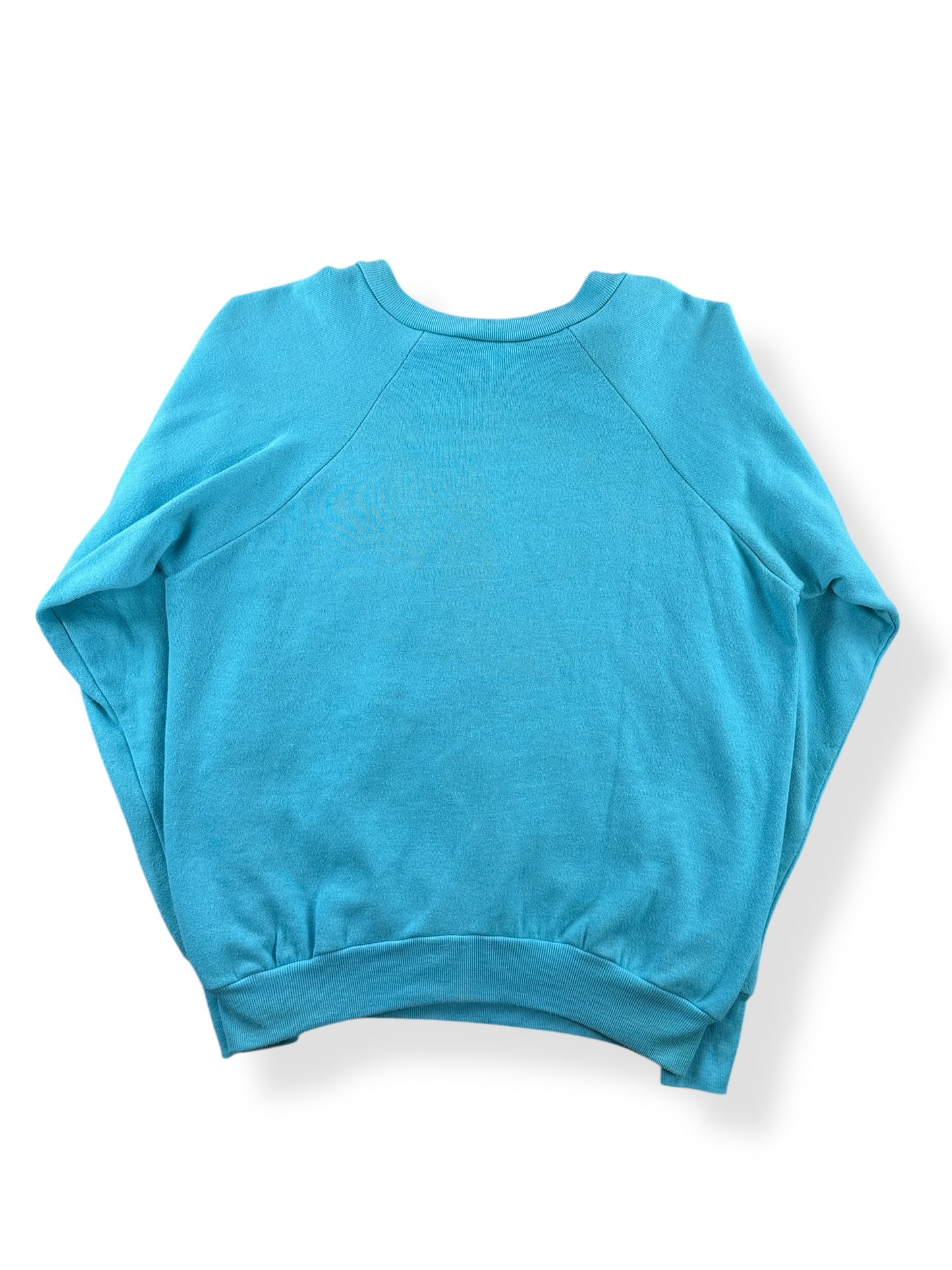 Back of Vintage Raisin Hell Crewneck SZ L (Fits M)