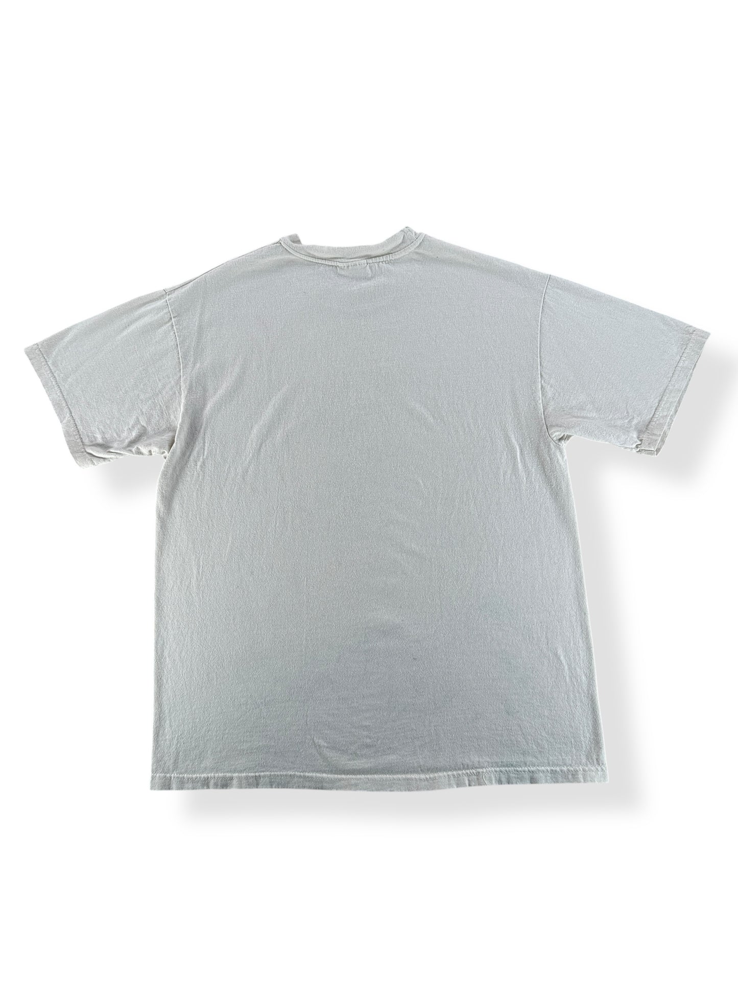 Back of Vintage 1998 Kenney Pigroast Tee SZ M