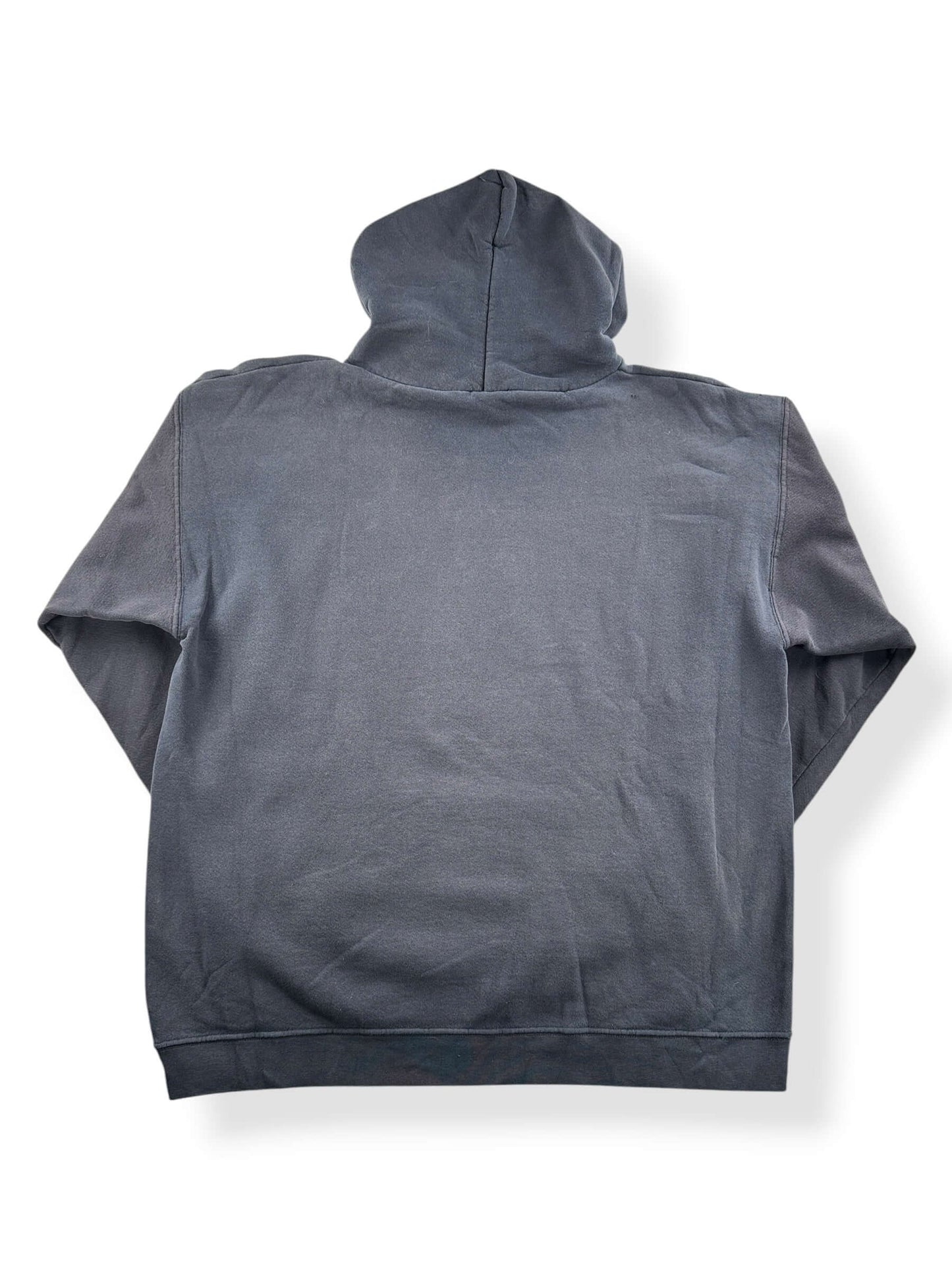 Back of Vintage 2002 Pantera Puff Print Hoodie SZ XL