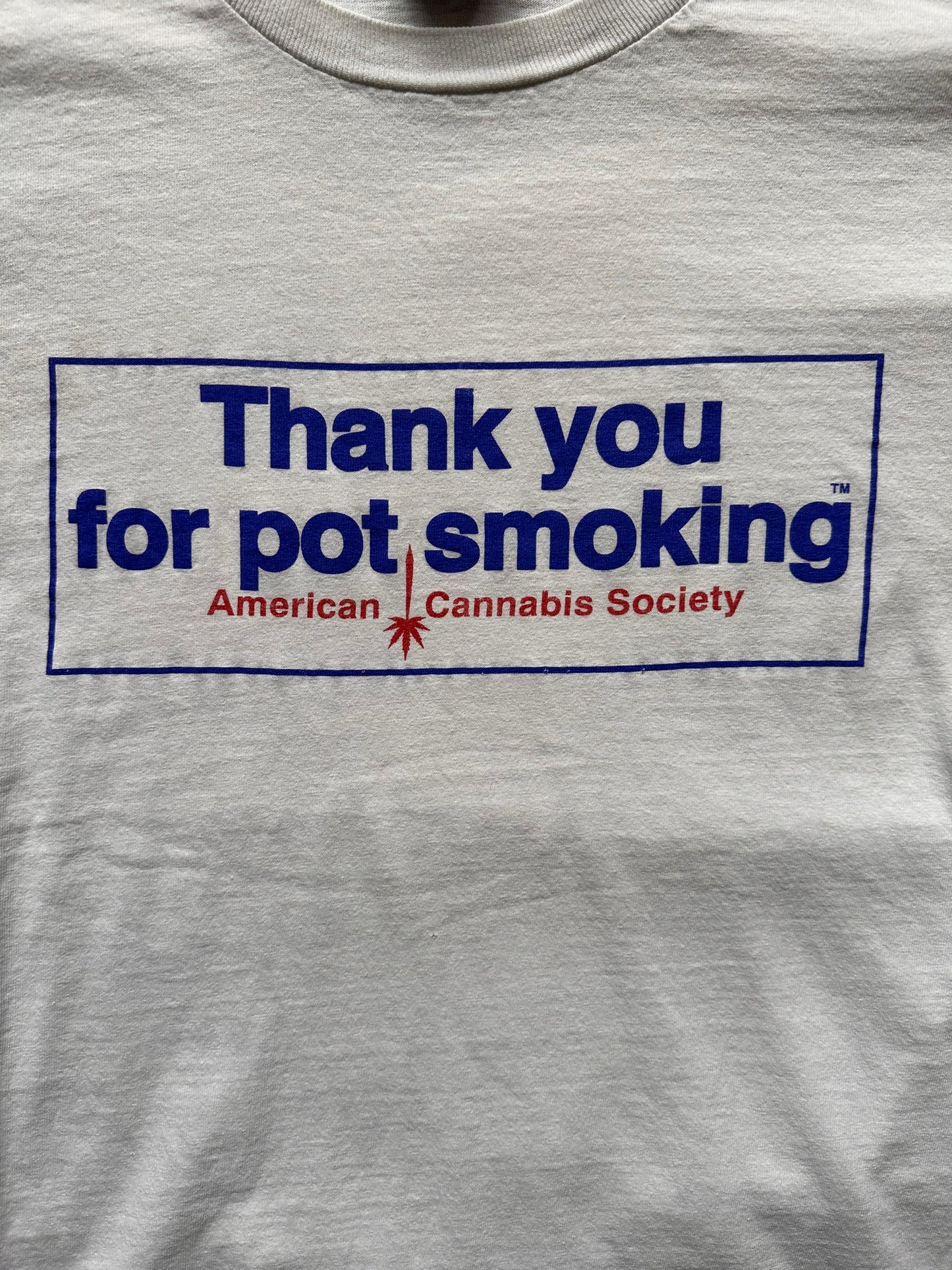 graphic of Vintage "Thank You For Pot Smoking" Tee SZ L | Vintage Tee Seattle | Barn Owl Vintage