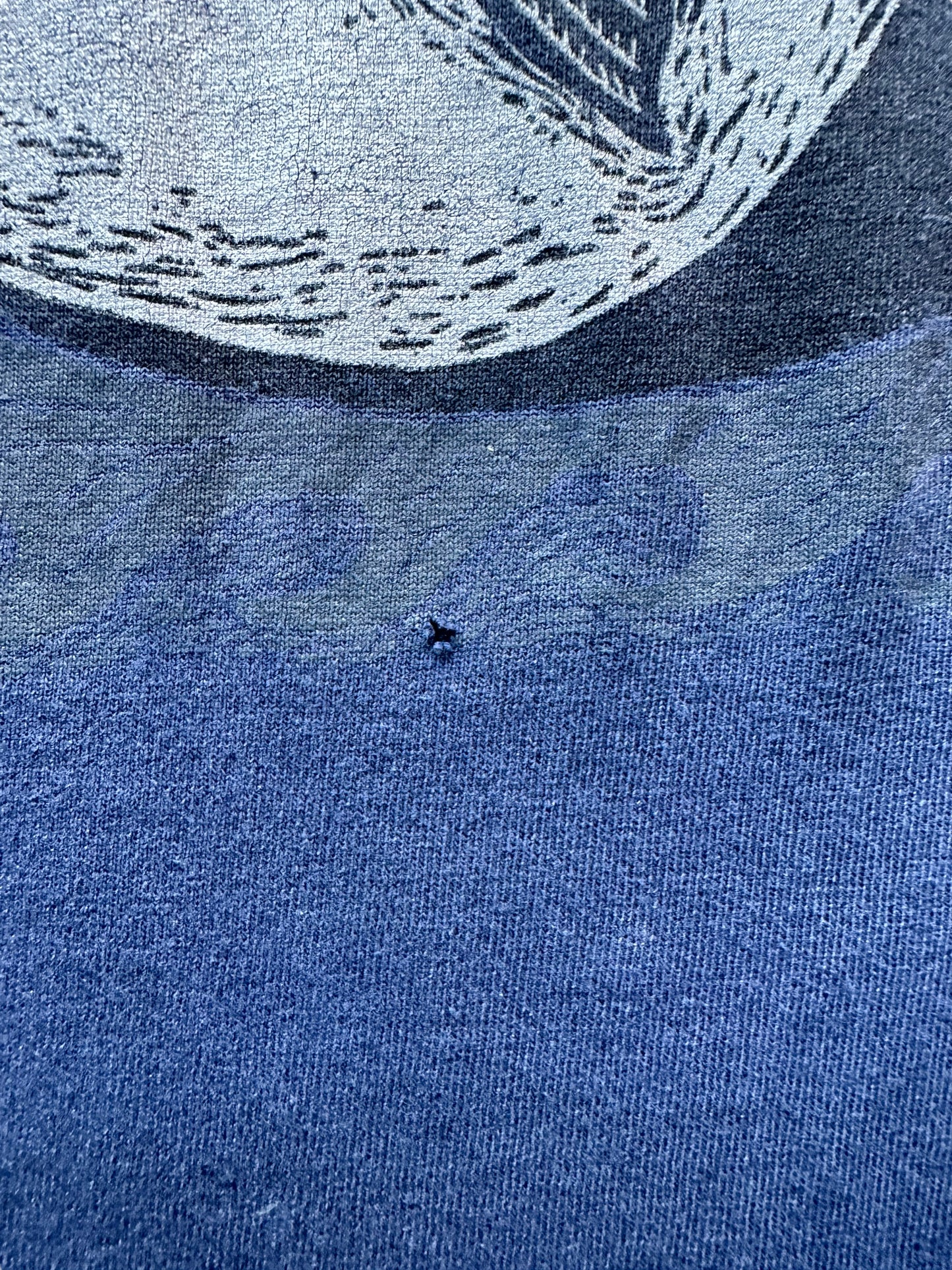 Small hole on Vintage Ray Troll Life and Death Salmon Tee SZ M | Vintage Fishing Tee Seattle | Barn Owl Vintage