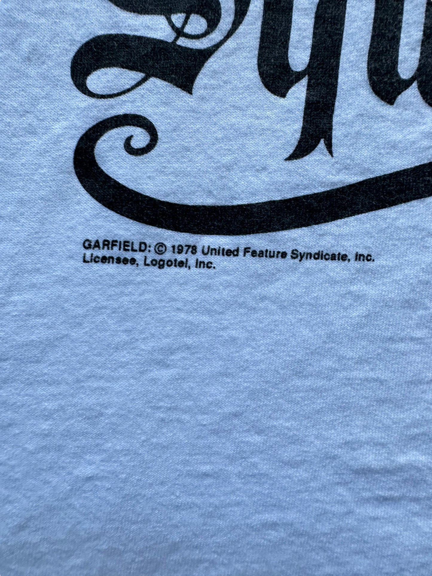 Graphic 2 of Vintage Garfield "The Meek Shall Inherit Squat" Tee SZ XL | Vintage Cat Tee Seattle | Barn Owl Vintage