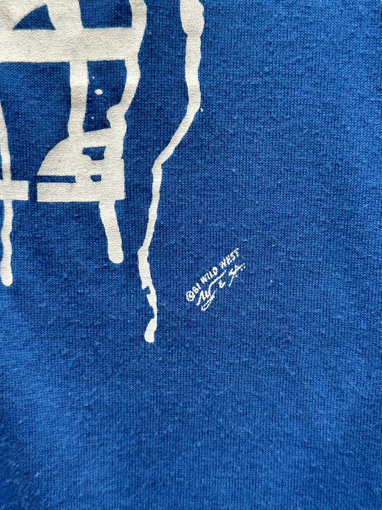 Front detail graphic shot of Vintage Blue I Hate Seagulls Tee SZ L | Vintage T-Shirts Seattle | Barn Owl Vintage Tees Seattle