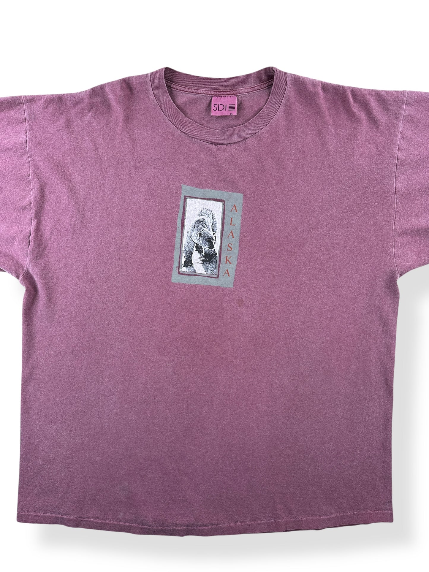 Front Close Up of Vintage Alaska Tee SZ XL (Fits XXL)