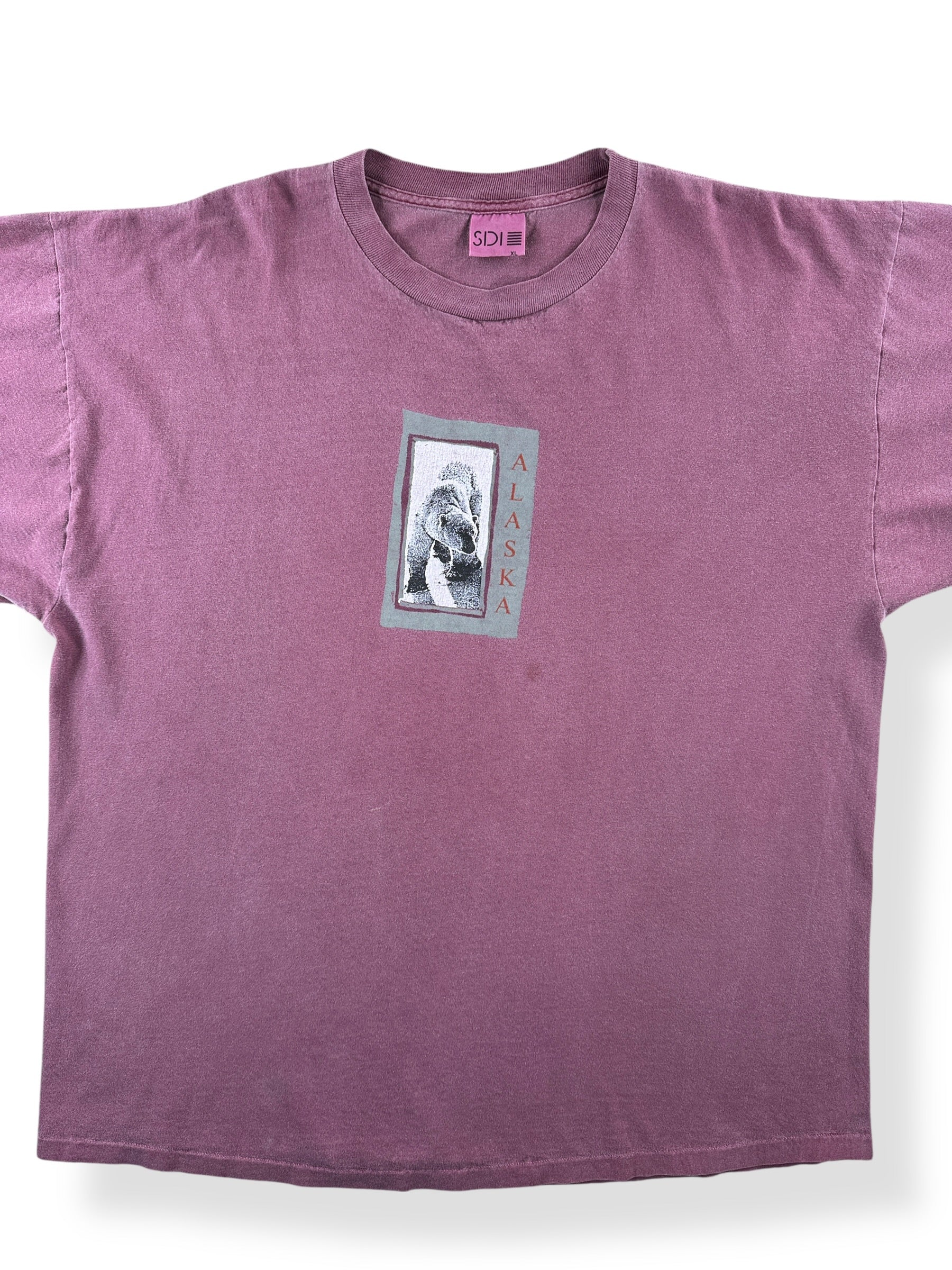Front Close Up of Vintage Alaska Tee SZ XL (Fits XXL)