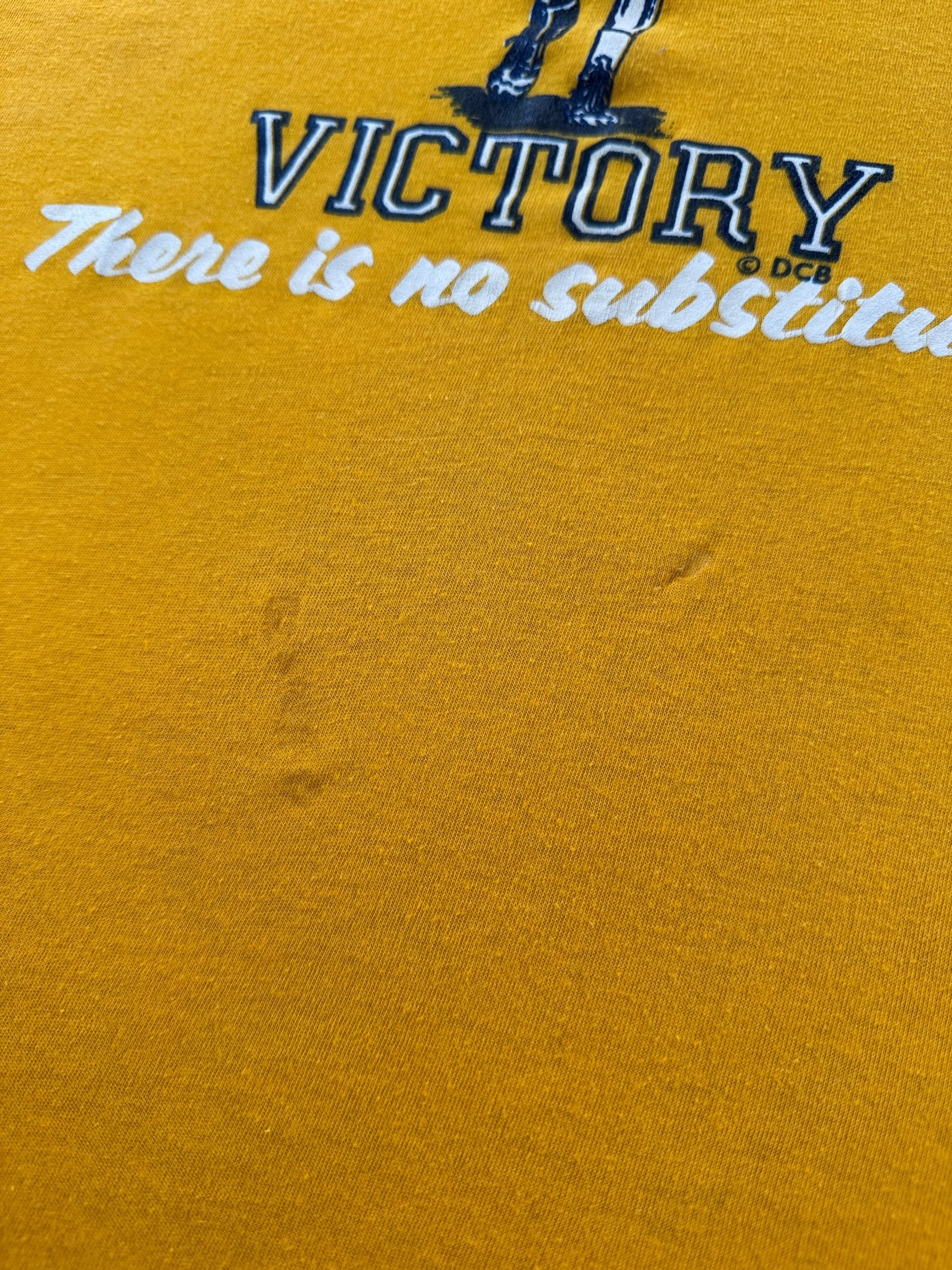 Staining on Vintage Win Pin or Die Wrestling Tee SZ L (Fits S)