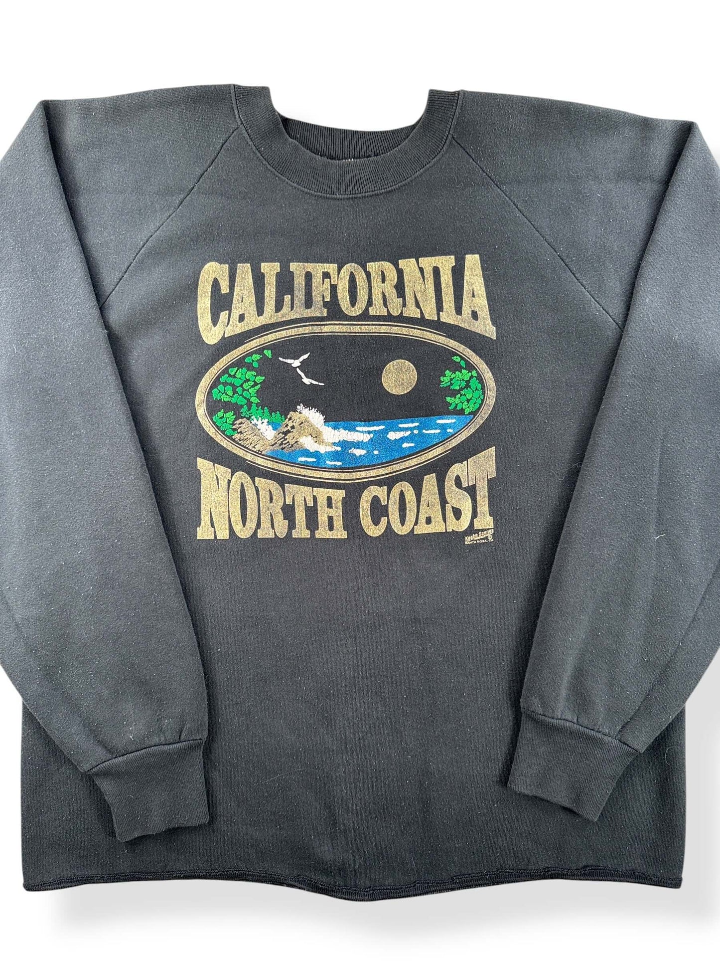 Close-up of Vintage California Coast Crewneck SZ XL