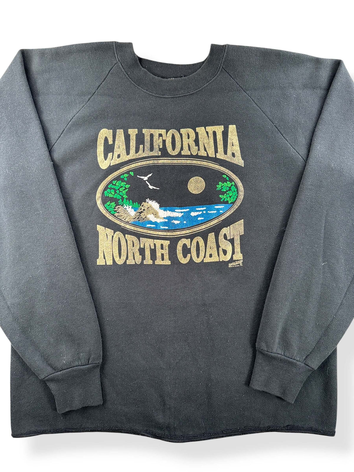 Close-up of Vintage California Coast Crewneck SZ XL