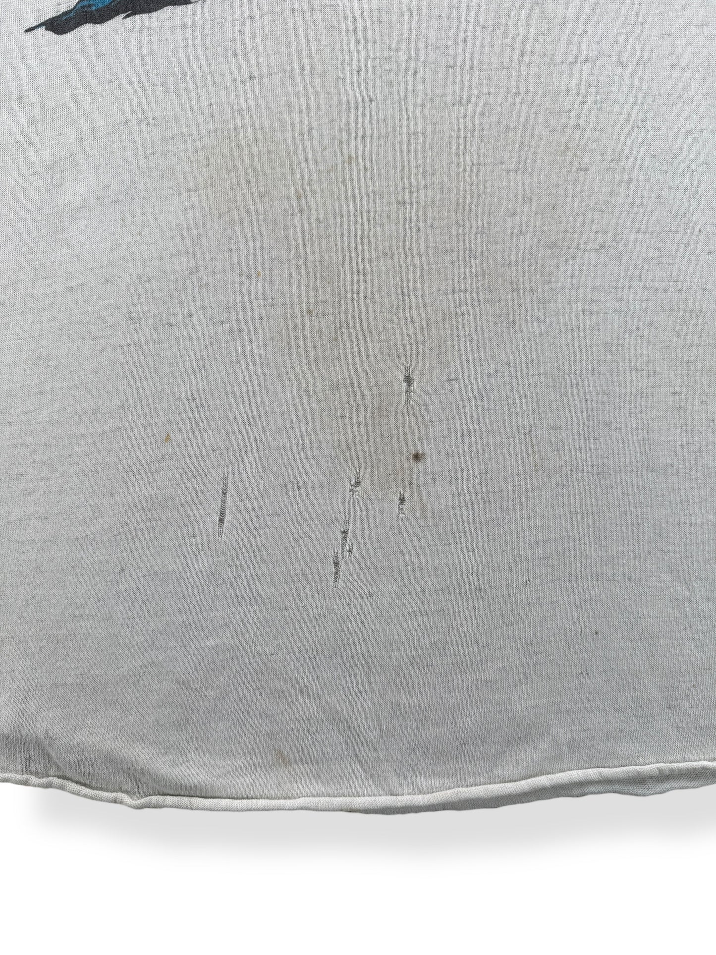 Wear on Vintage Charley Pride Raglan Thrasher SZ M