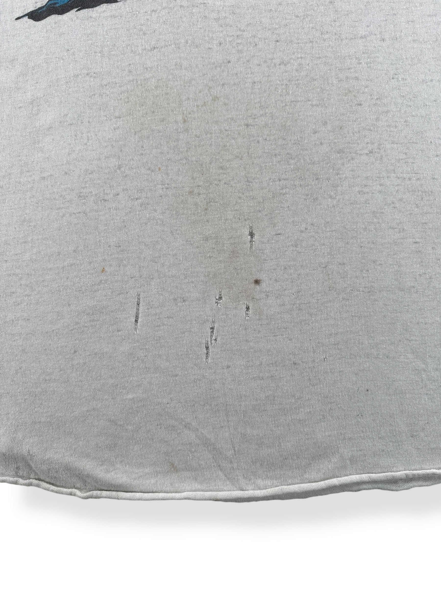 Wear on Vintage Charley Pride Raglan Thrasher SZ M