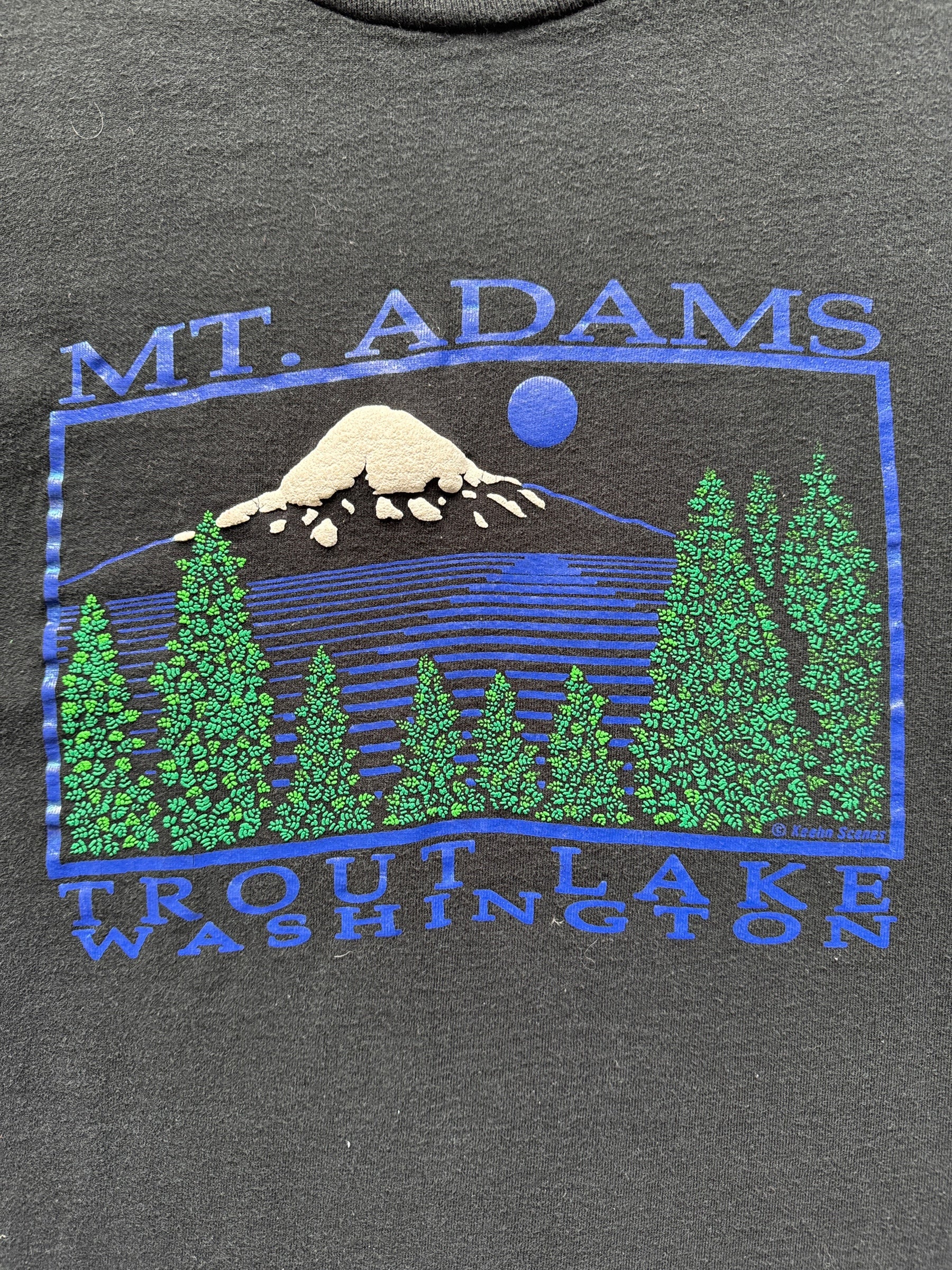 front graphic of Vintage Mt. Adams Puff Print Tee SZ S