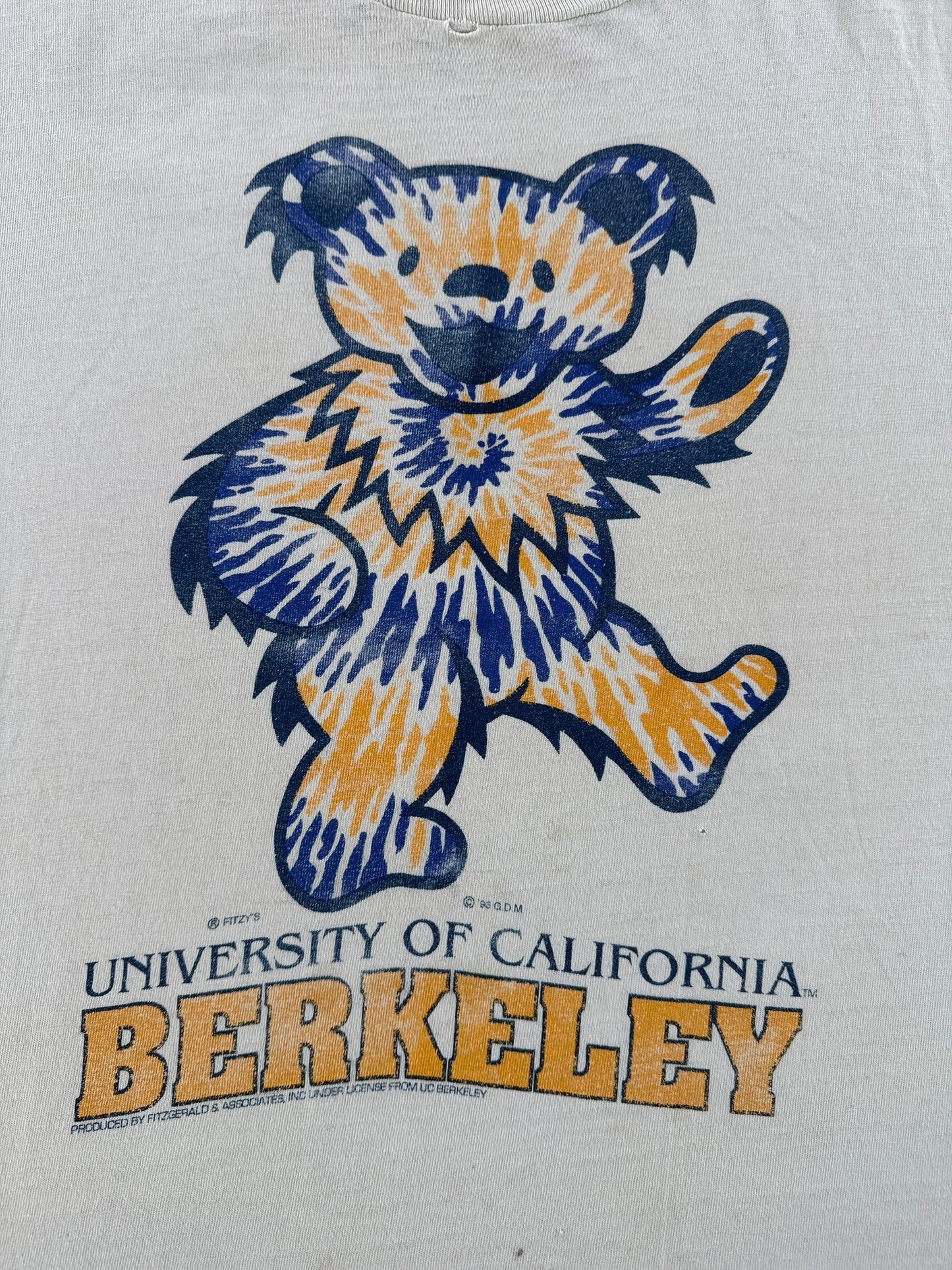 Front Graphic of Vintage Distressed Cal Berkeley Grateful Dead Tee SZ L