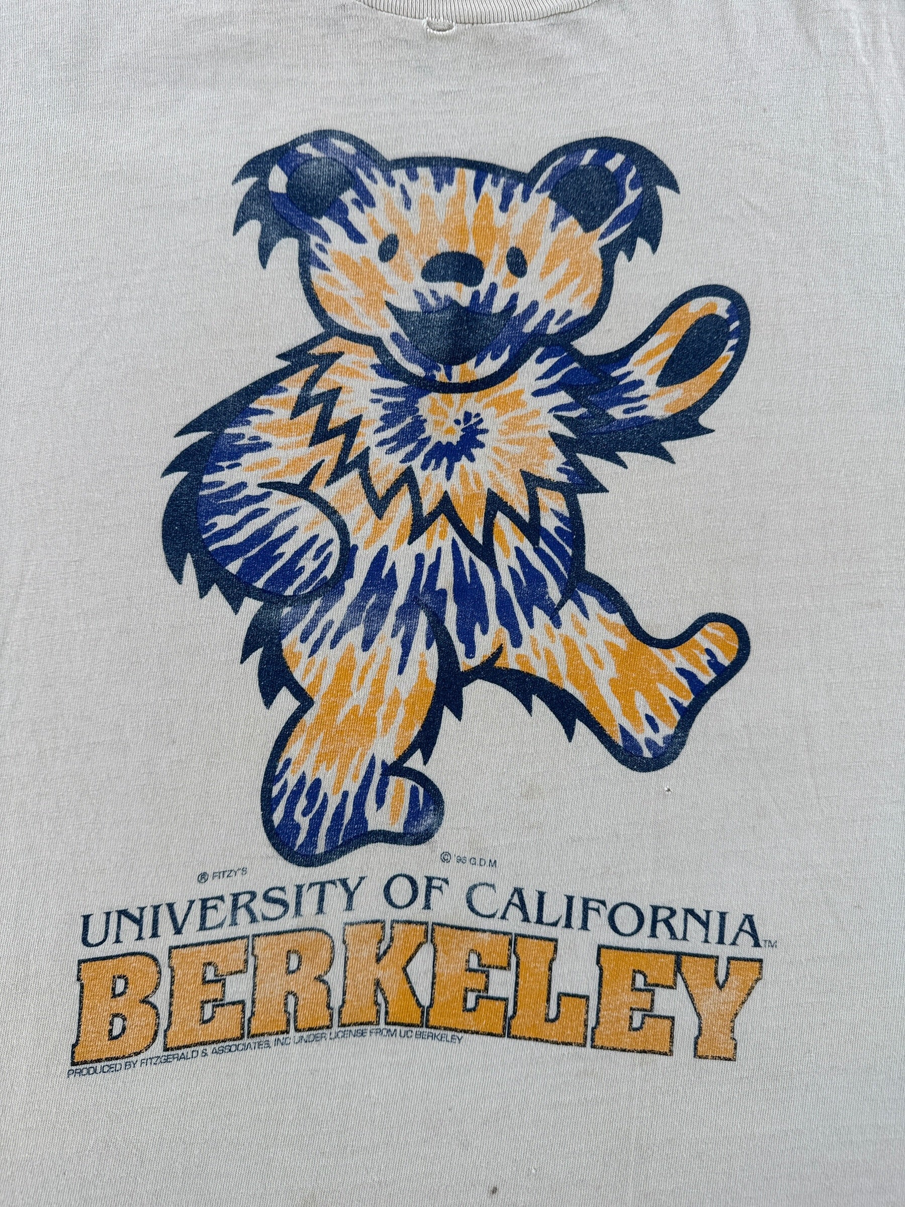 Front Graphic of Vintage Distressed Cal Berkeley Grateful Dead Tee SZ L
