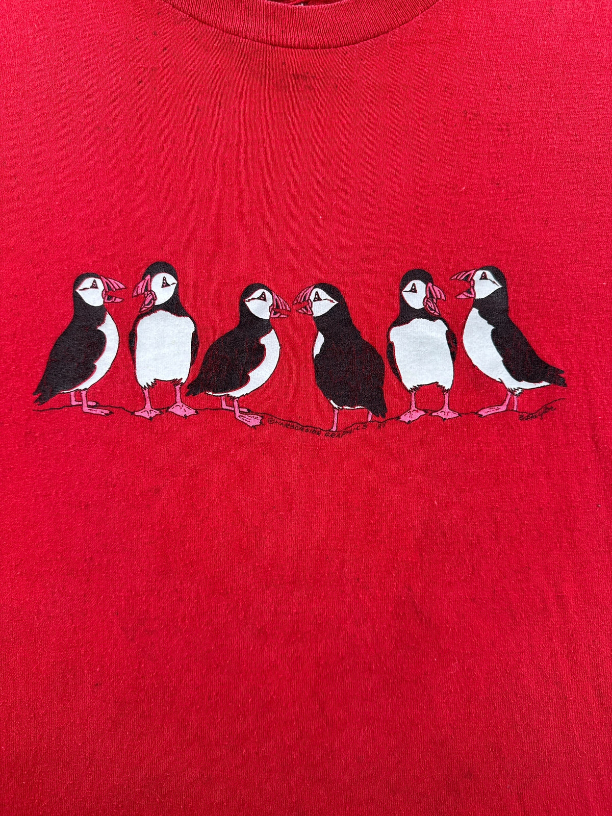 Front graphic on Vintage 80s Red Puffin tee SZ L (Fits M)